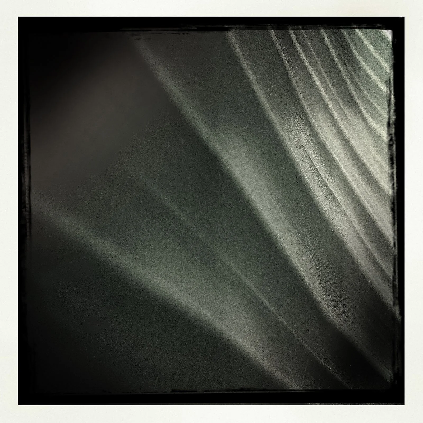 RON REAGAN IMAGING WEBSITE- BANANA LEAF (B&W)- PRINT SELL- 1600.jpg