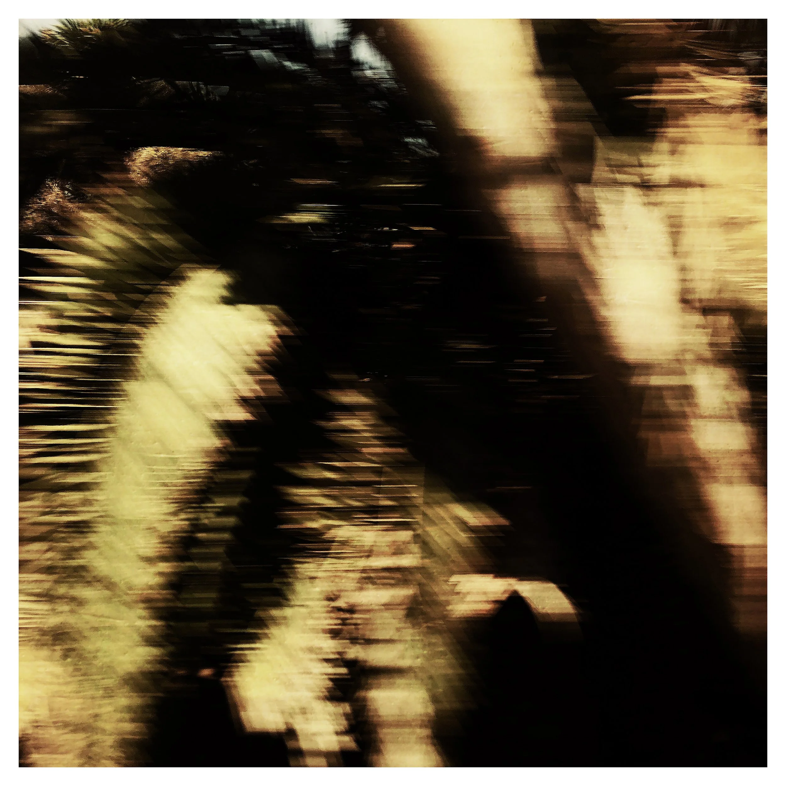 TREE BLUR- SELL PRINT 556745745.607514.jpg