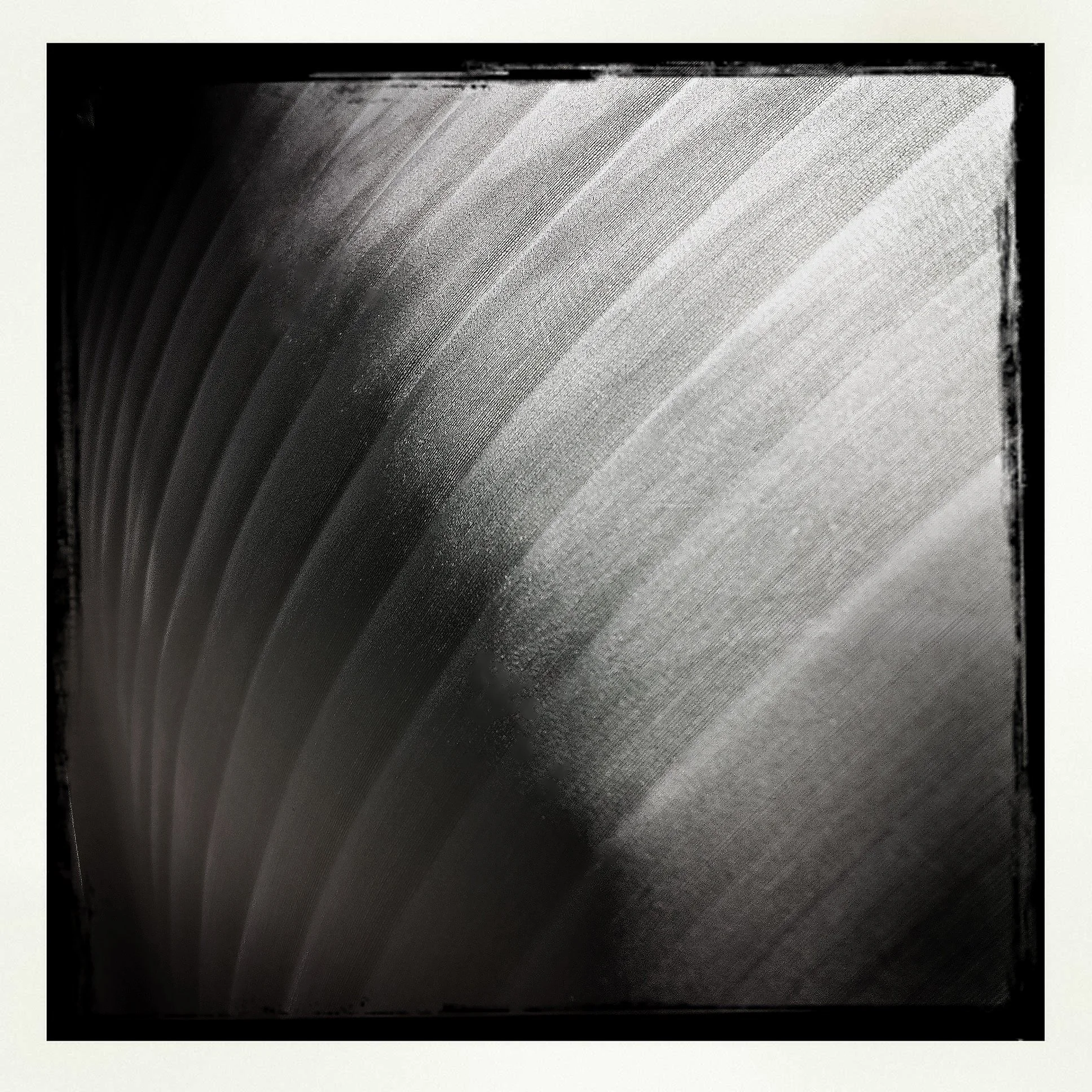 BANANA LEAF- PRINT SELL- 1606.jpg