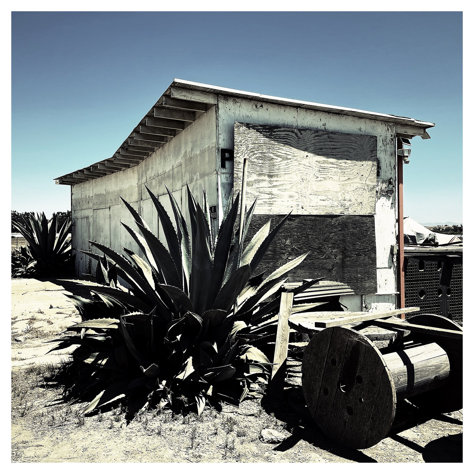 VENTURA FARM- PRINT SELL 744065260.381342.jpg
