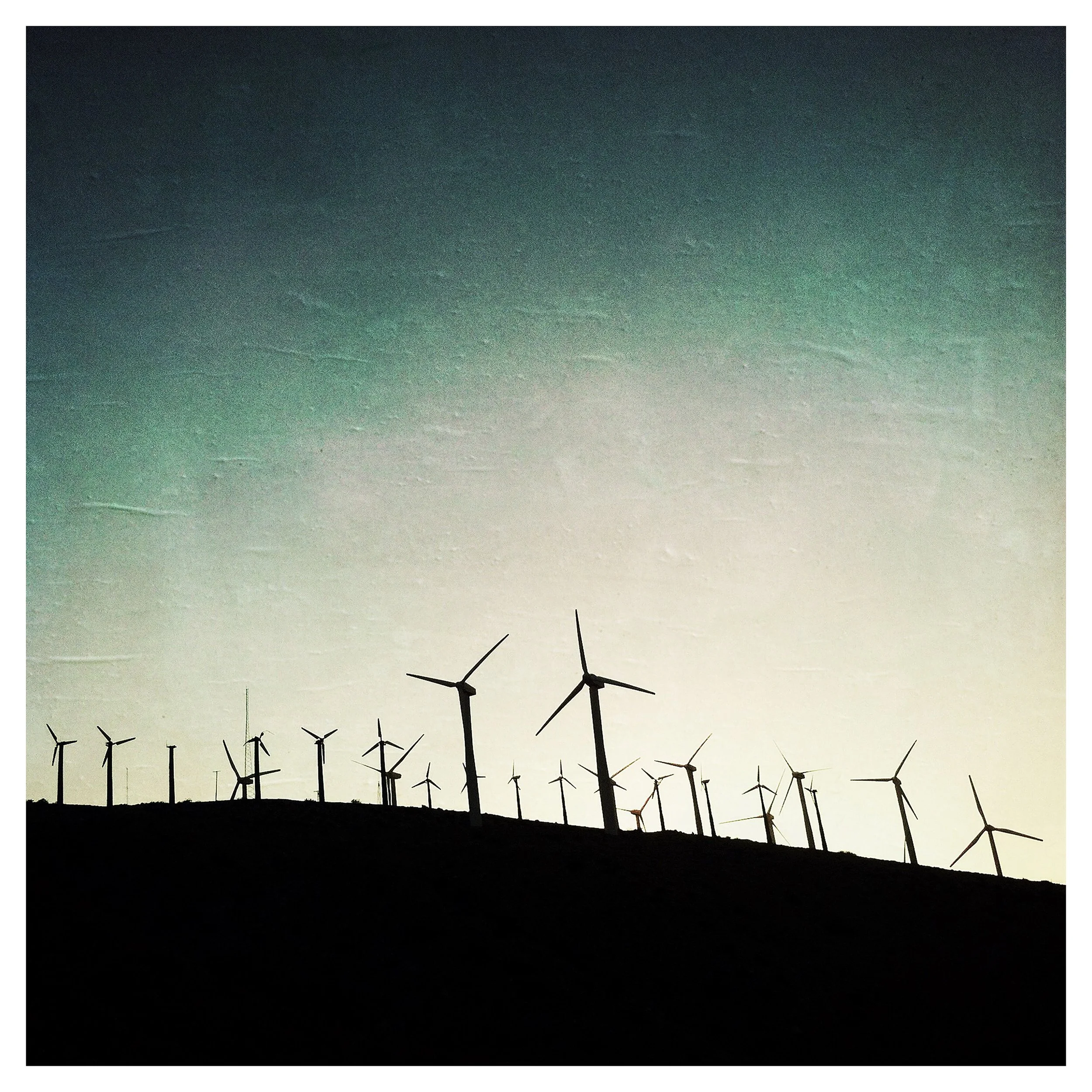 PALM SPRING 1- PRINT SELL- 4189.jpg