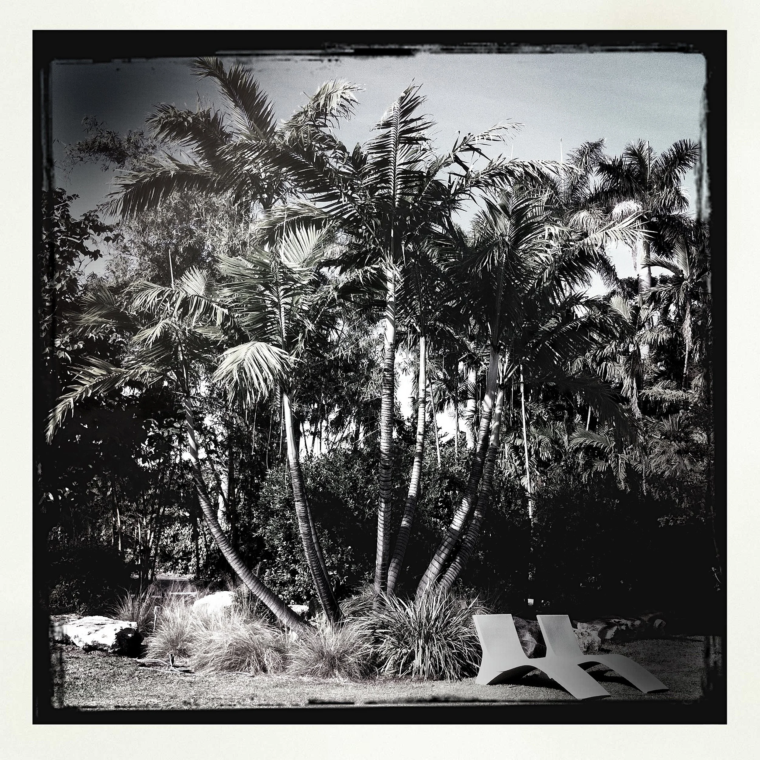 MIAMI BEACH BOTANICAL GARDEN- PRINT SELL- 1645.jpg