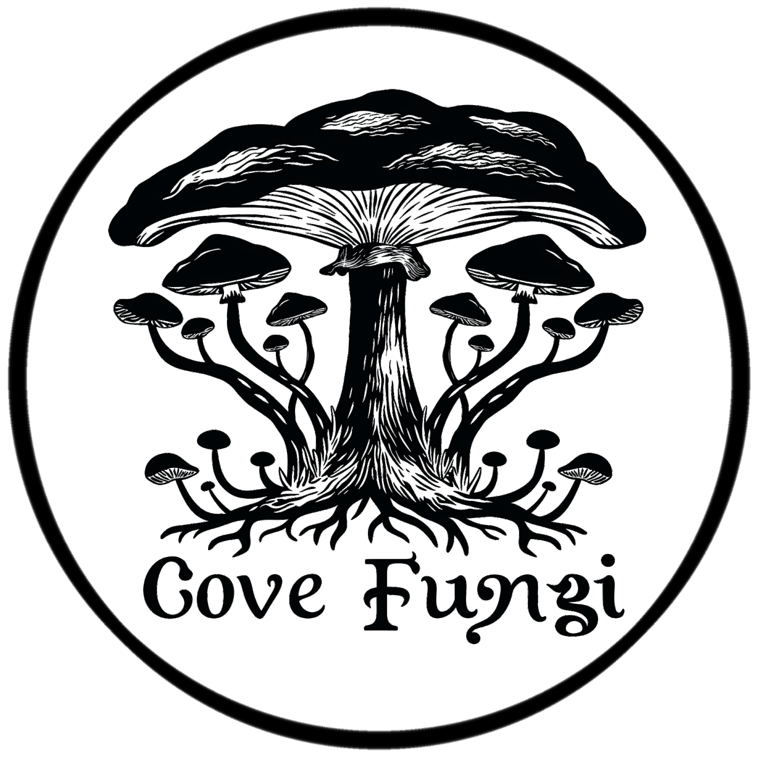 Cove Fungi Ltd.