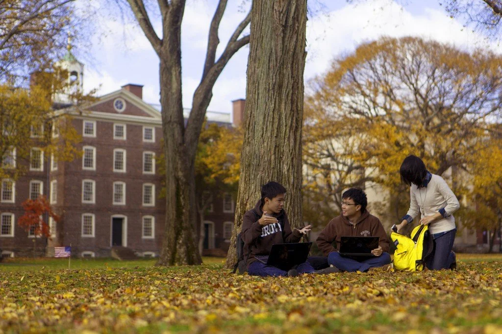 Brown supplemental essays open curriculum examples