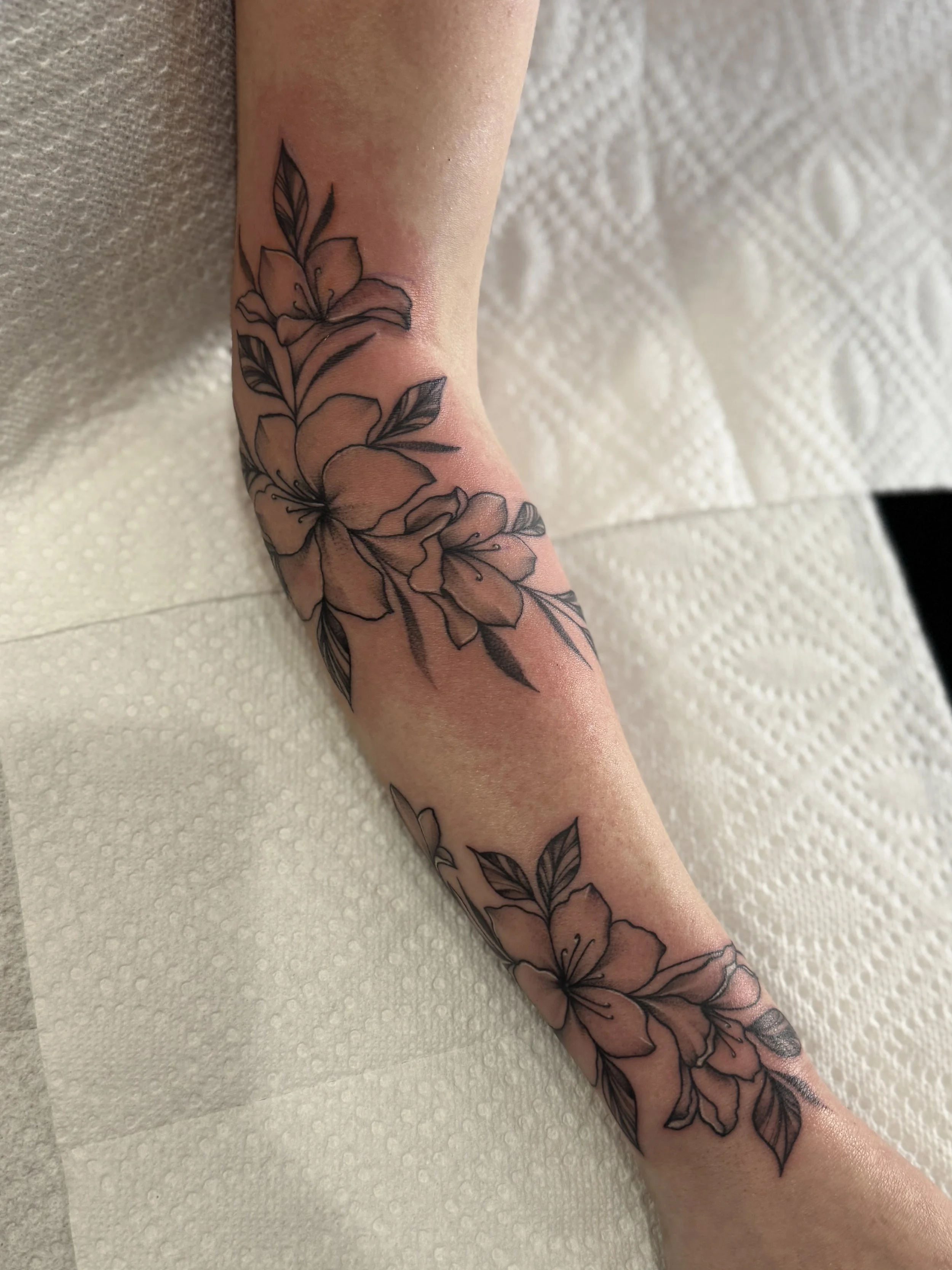 IMG_0257.jpeg