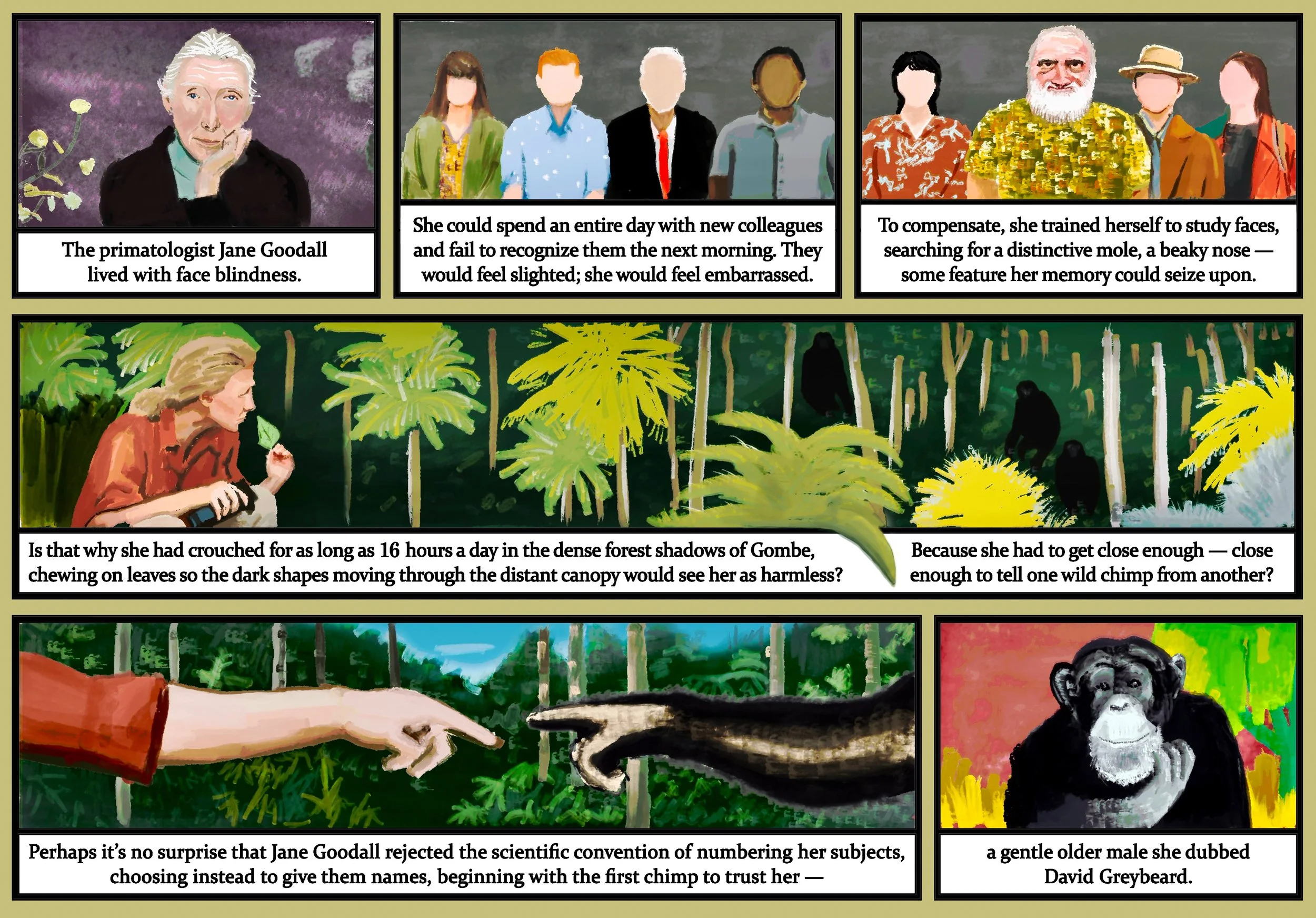 A colorful illustrated comic strip depicting Jane Goodall, a primatologist, surrounded by her chimpanzees and forest scenes. The strip includes panels describing her while highlighting her rejection of traditional numbering of her subjects, instead giving them names and trusting the first chimp she encountered, David Greybeard.