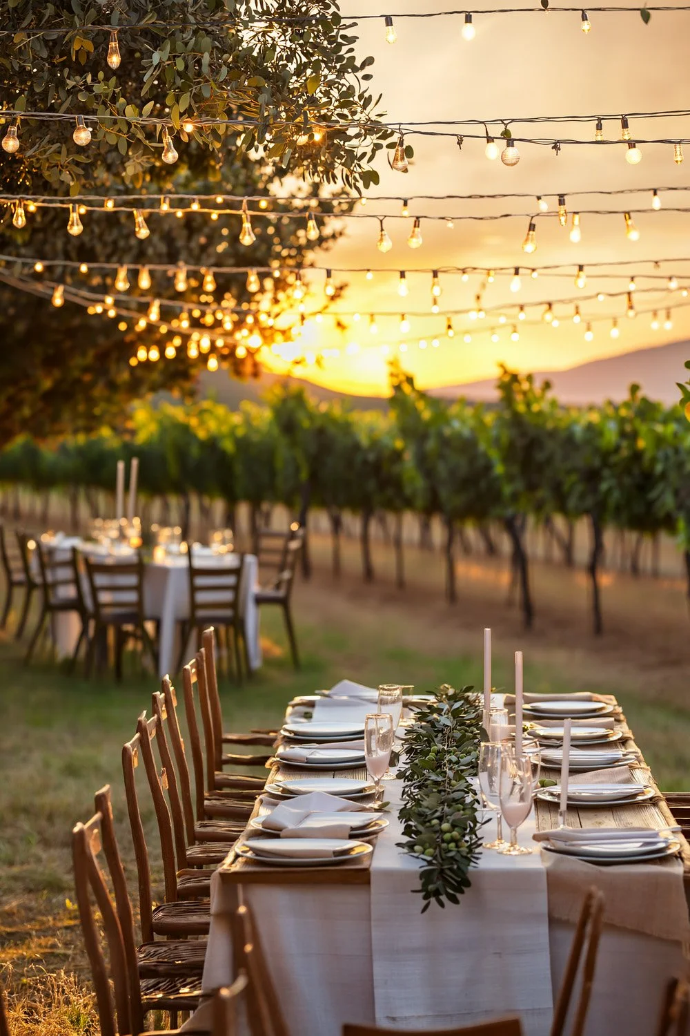 Tuscan-Olive-Vineyard-Golden-Hour.jpg