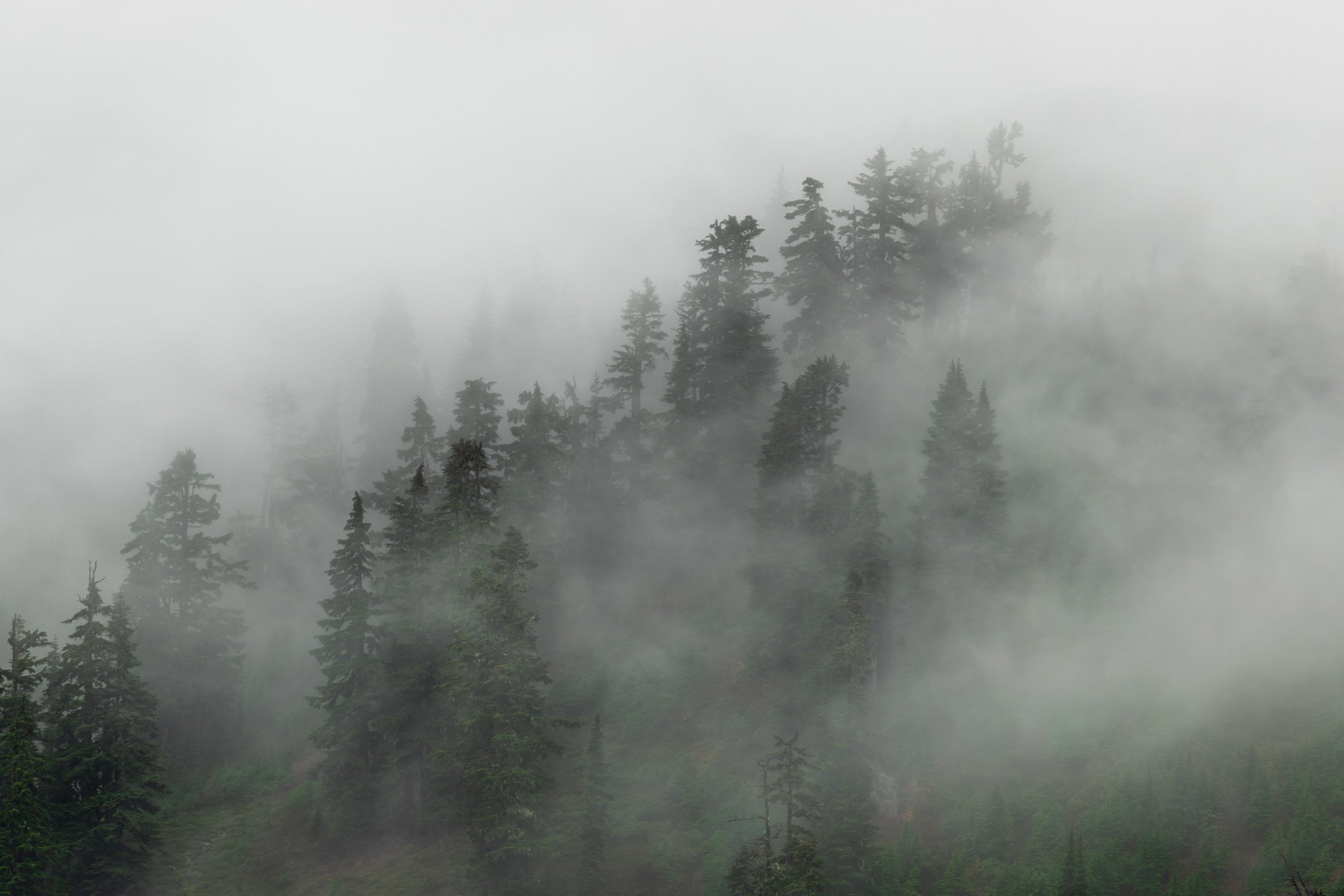 SRMH0362-Enhanced-NR-1-155.jpg
