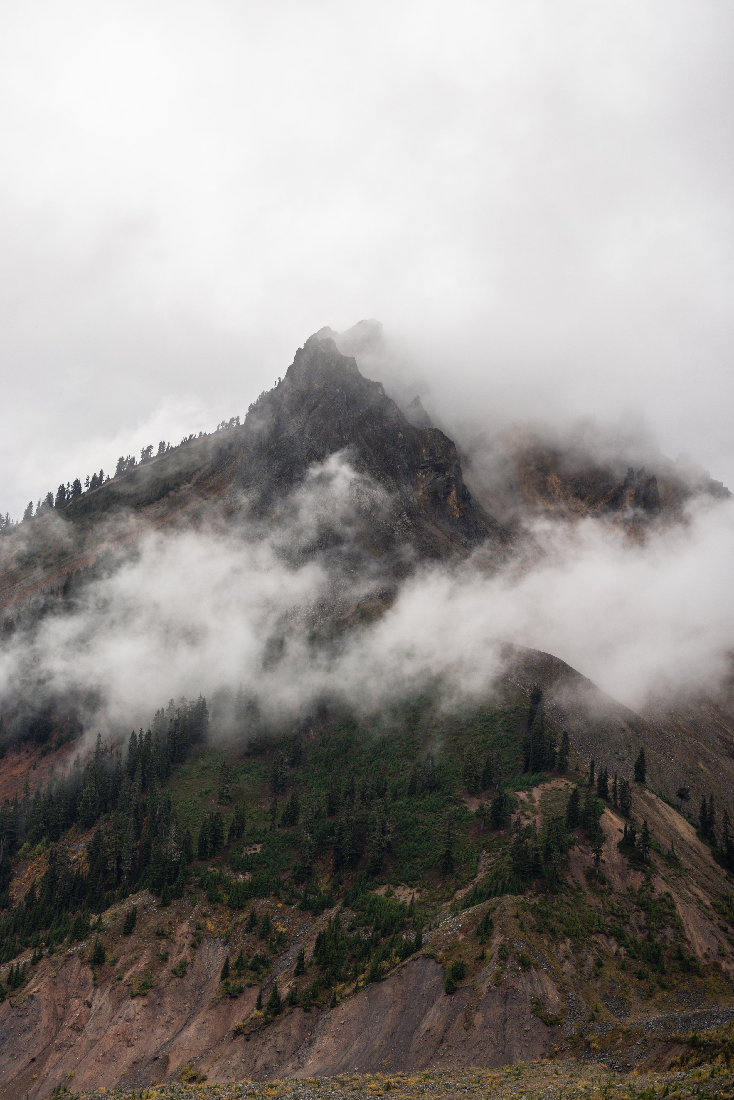 SRMH0434-1-160.jpg