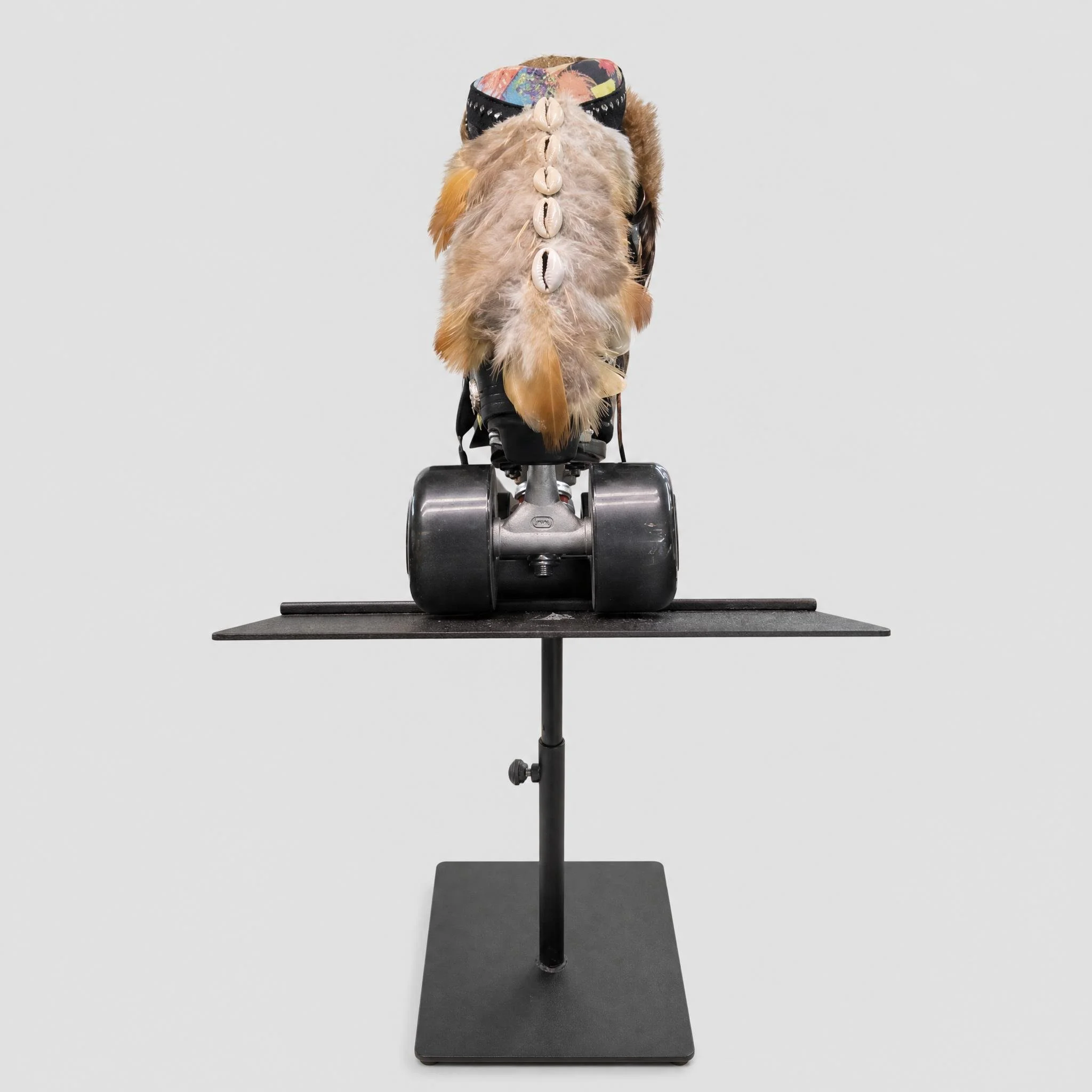 nightjar_image_Remove_the_background_and_create_a_clean__neutral_background_color._keep_the_sta (3).jpeg