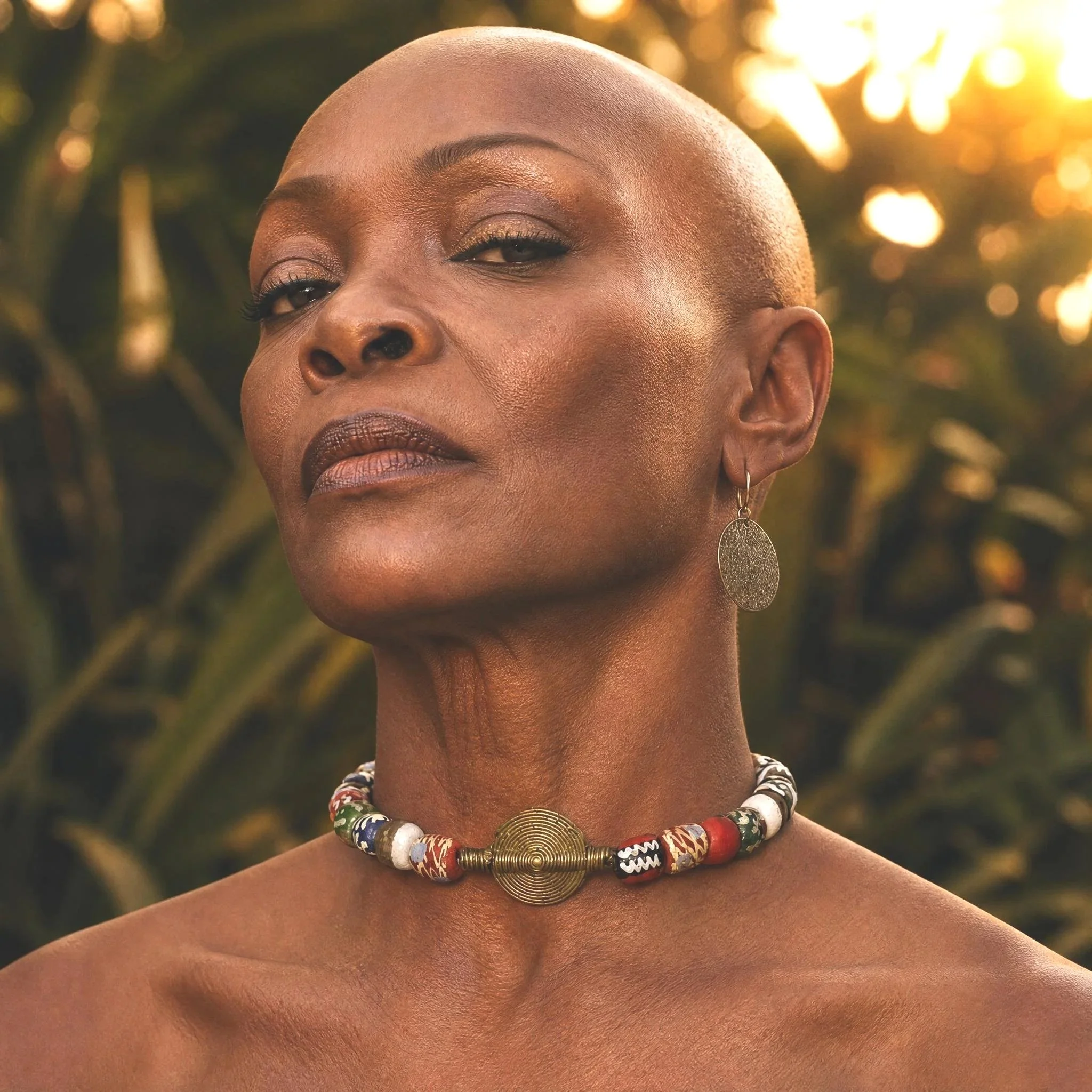 nightjar_image_Elder_African_American_Female._Bald._Fierce_looking._Natural_background.jpg