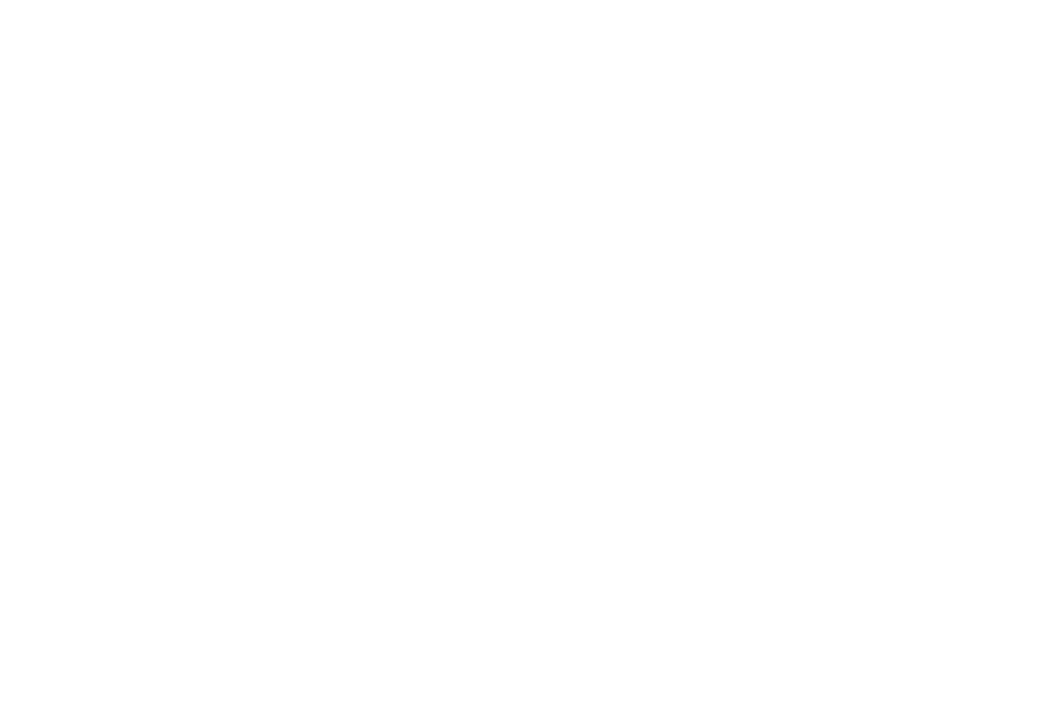 Designer Sala Menaya