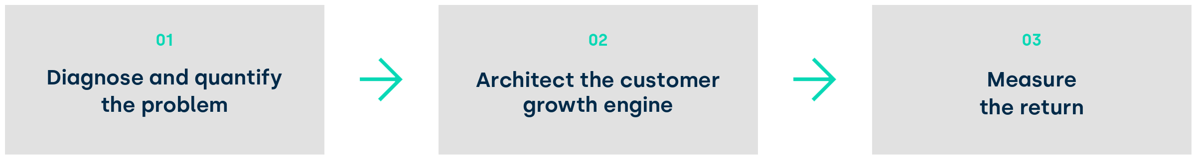 Three-step program sequence connected by arrows: step one, diagnose and quantify the problem, step two, architect the customer growth engine, step three, measure the return.