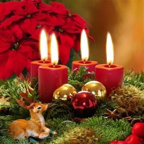 A Sonic Season of Light & Evergreens