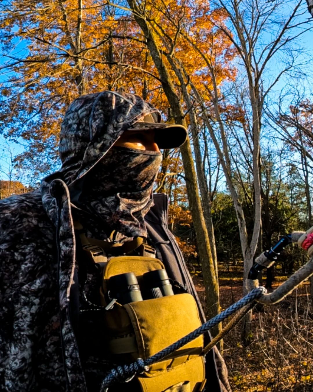 We know summer is just getting started ... yet we can't stop thinking about the fall. 

#hanginginthere #saddlehunter #mobilehunting #asio #vortex #marsupial #bowhunter #deerhunting