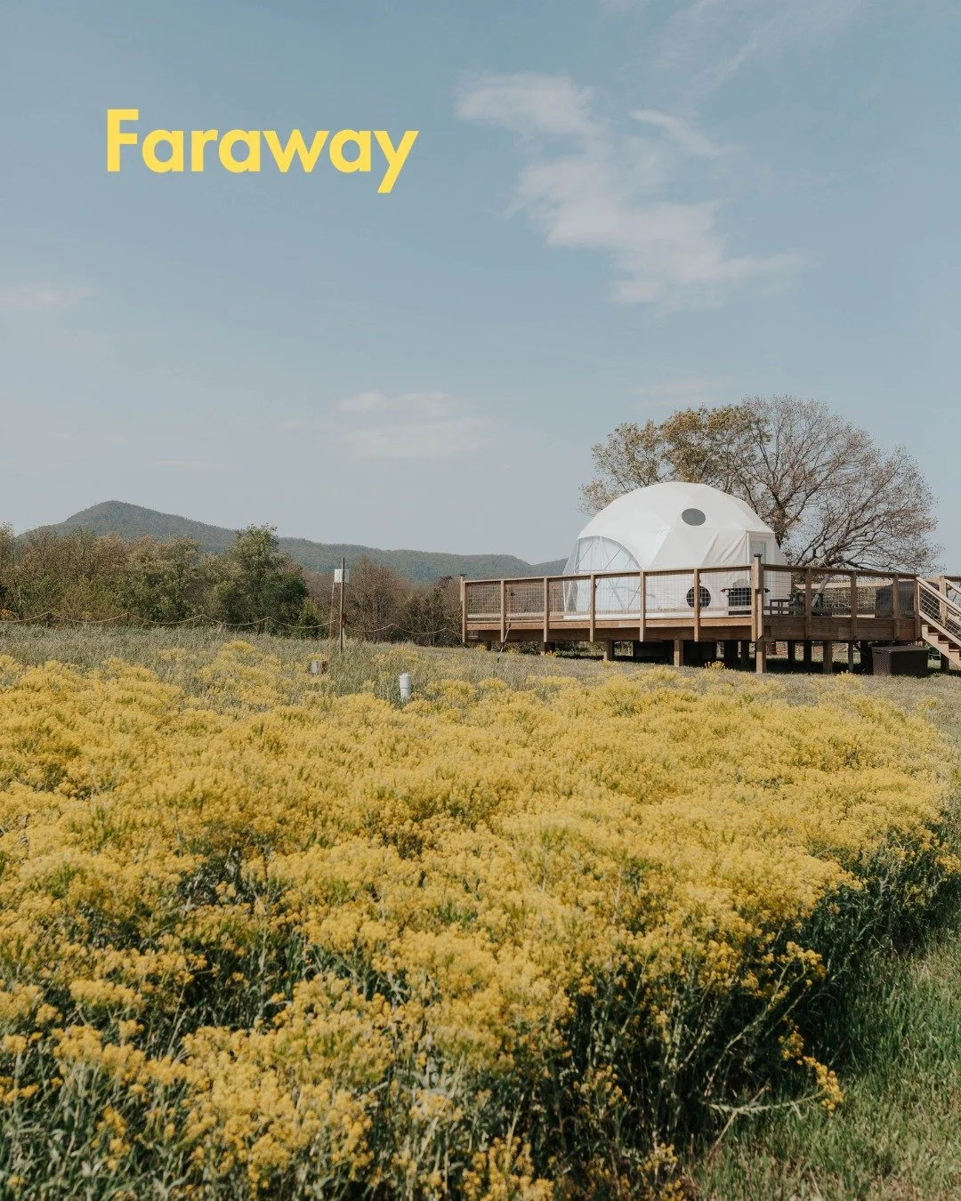 Your little hideaway in the hills, where the world softens and time stretches.
Your dome awaits at faraway.camp
#Faraway #Glamping #LuxuryCamping #GlampingVirginia #CozyStays #GlampingUSA #ShenandoahGlamping  #DC
#WalkWithLocalsDC
#WashingtonDC