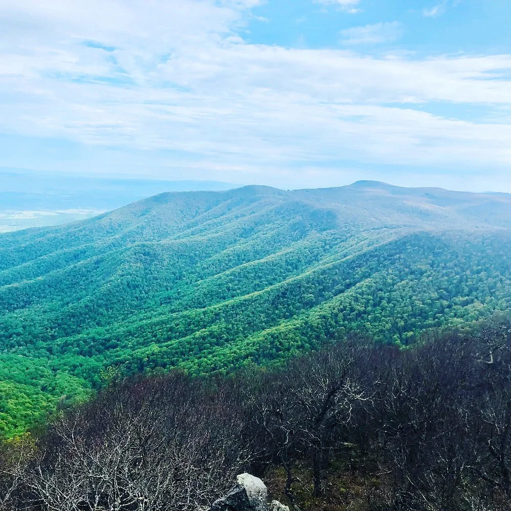 Hawksbill Summit