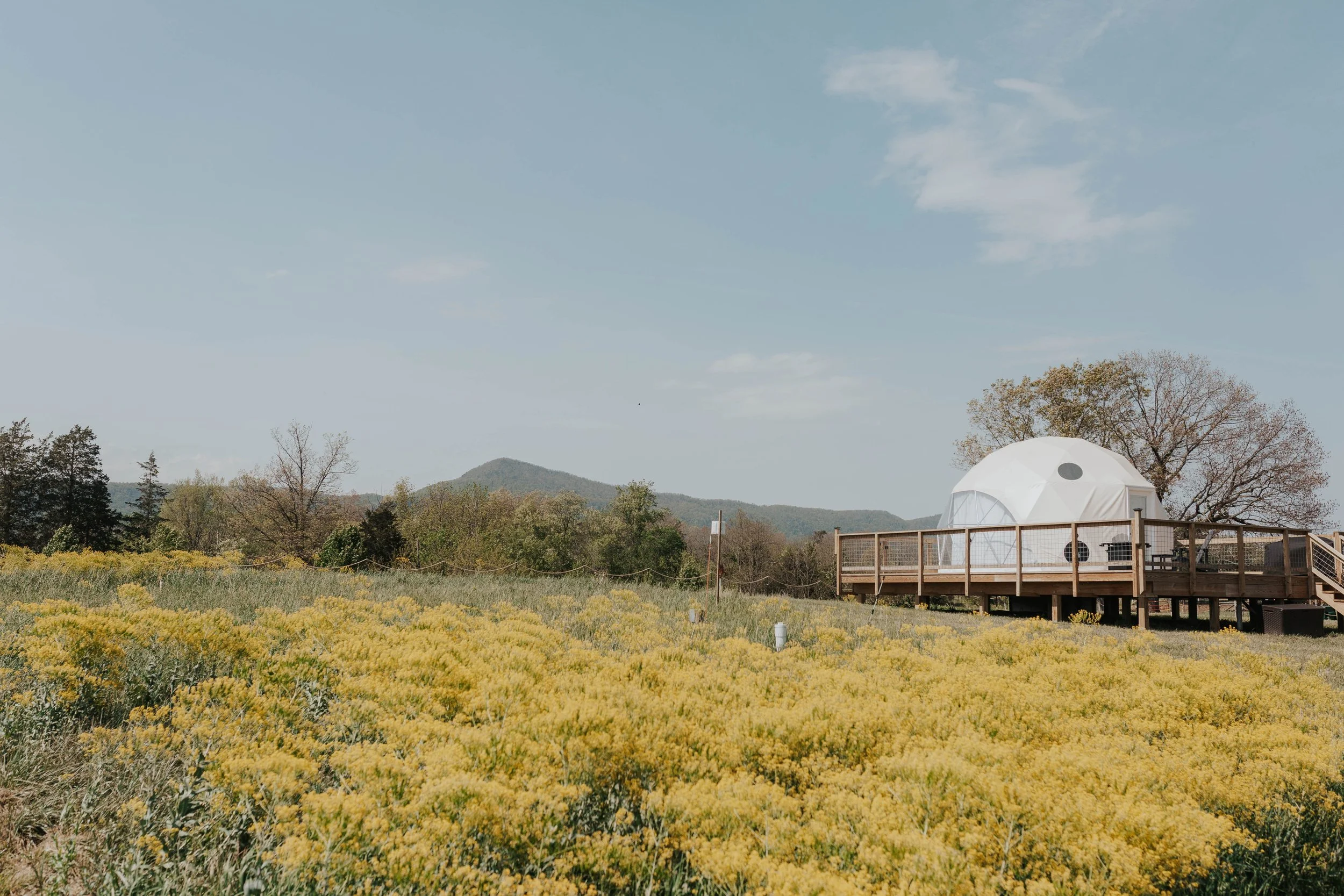 a geodesic dome in the spring with flowers