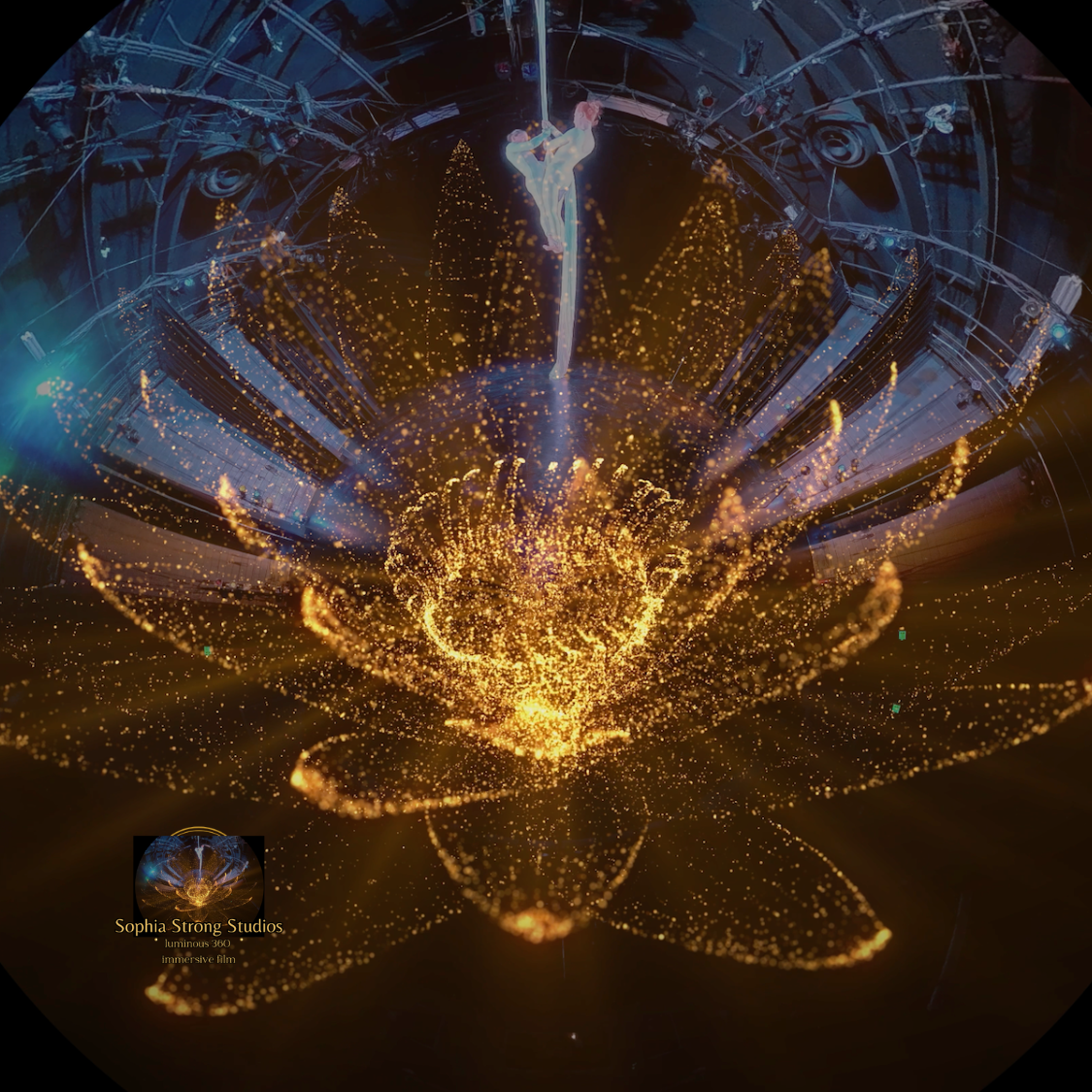 A dancer performing a pole dance in a dark venue with sparkling gold particles surrounding her, creating the appearance of a butterfly or flower. The background features circular metal scaffolding and stage lighting. Small text in the bottom left corner reads "Sophia Strong Studios, luminous 360, immersive film."