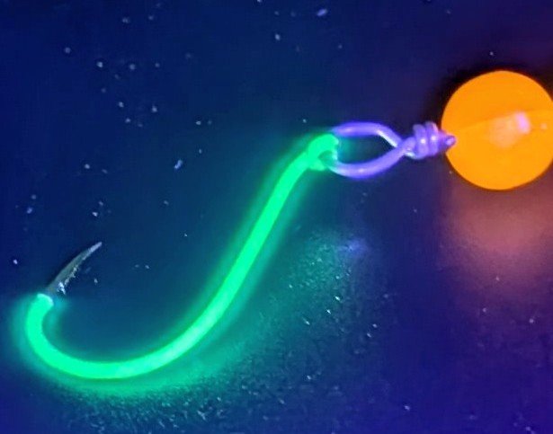 White Glow Octopus.jpg