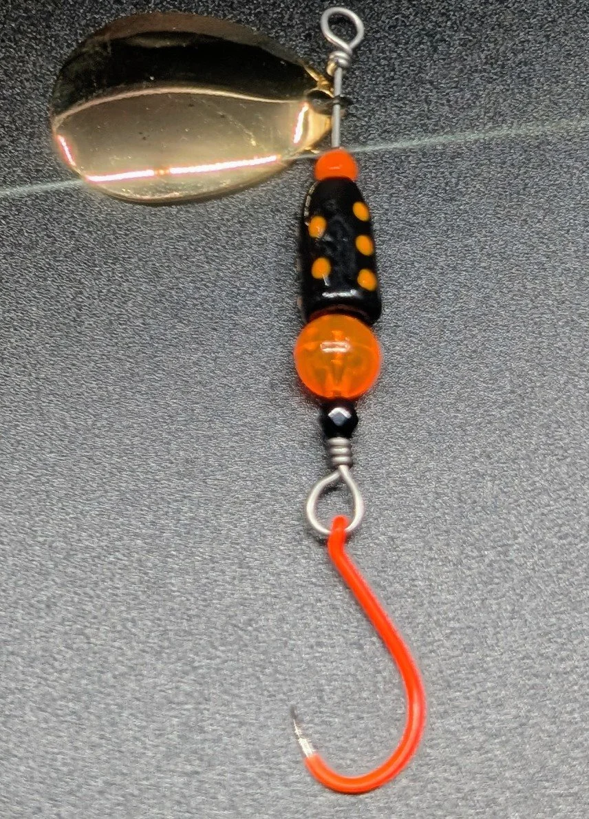 PXL_20260820_222031192~2.jpg