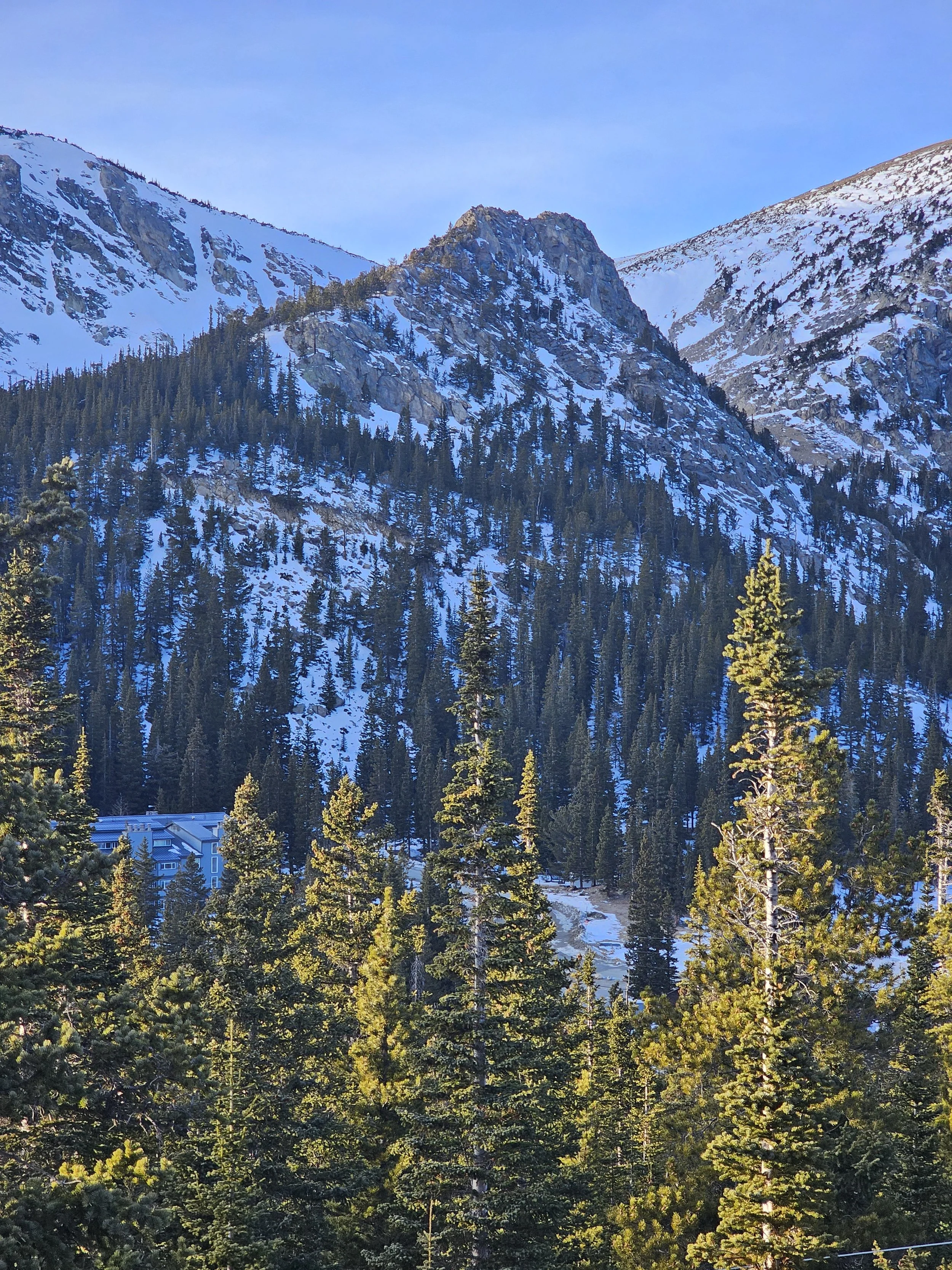 The Impact of Nature on Children's Well-Being