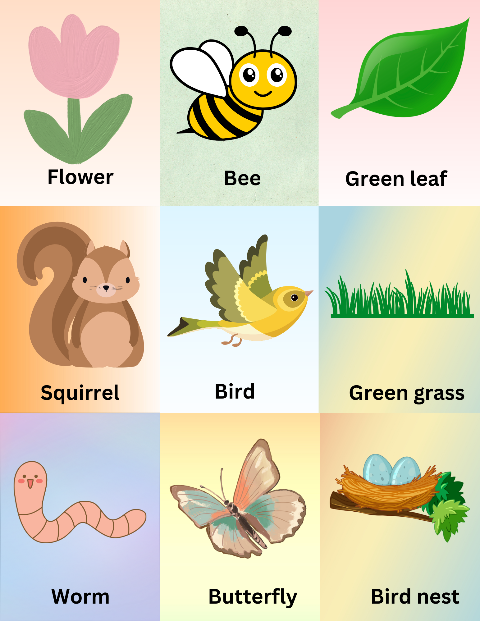 Easy Spring Nature Walk Activities for Kids