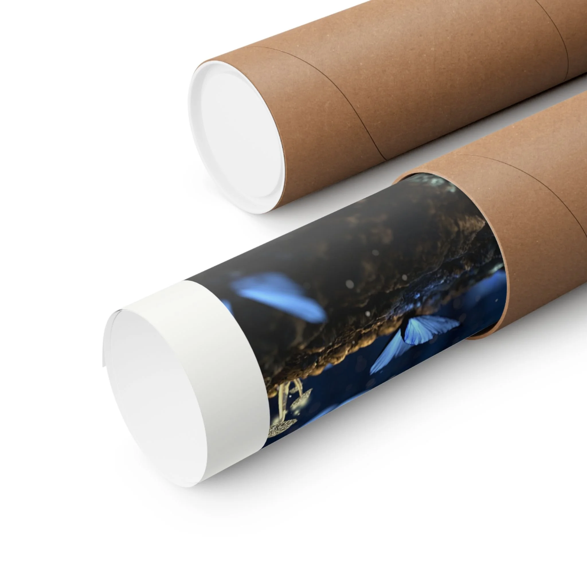 Rolled fantasy art print packaged in a protective kraft paper tube, designed to keep artwork safe during shipping