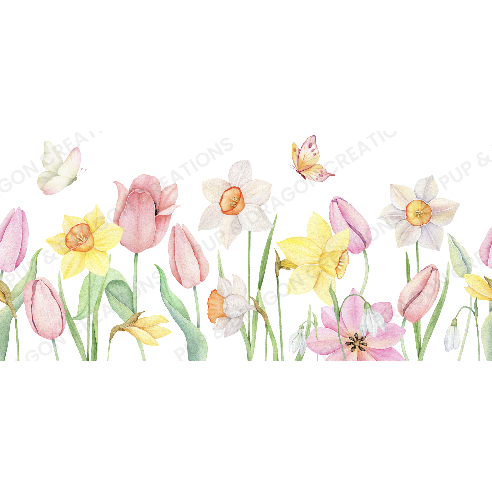 Full graphic with watermark