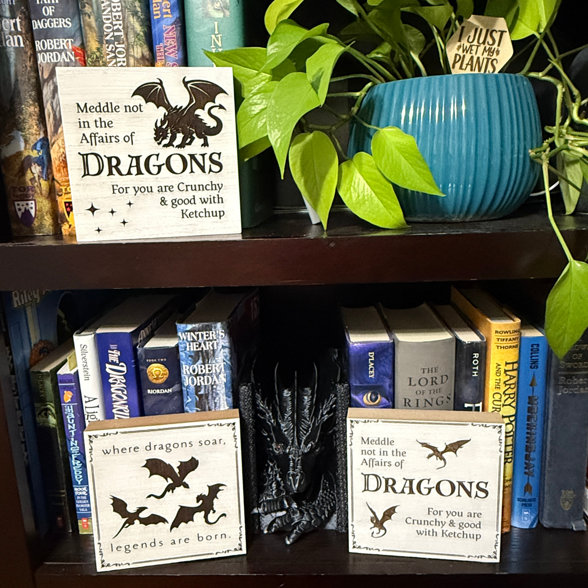 Meddle not in the affairs of dragons wooden sign styled on bookshelf among fantasy books and greenery
