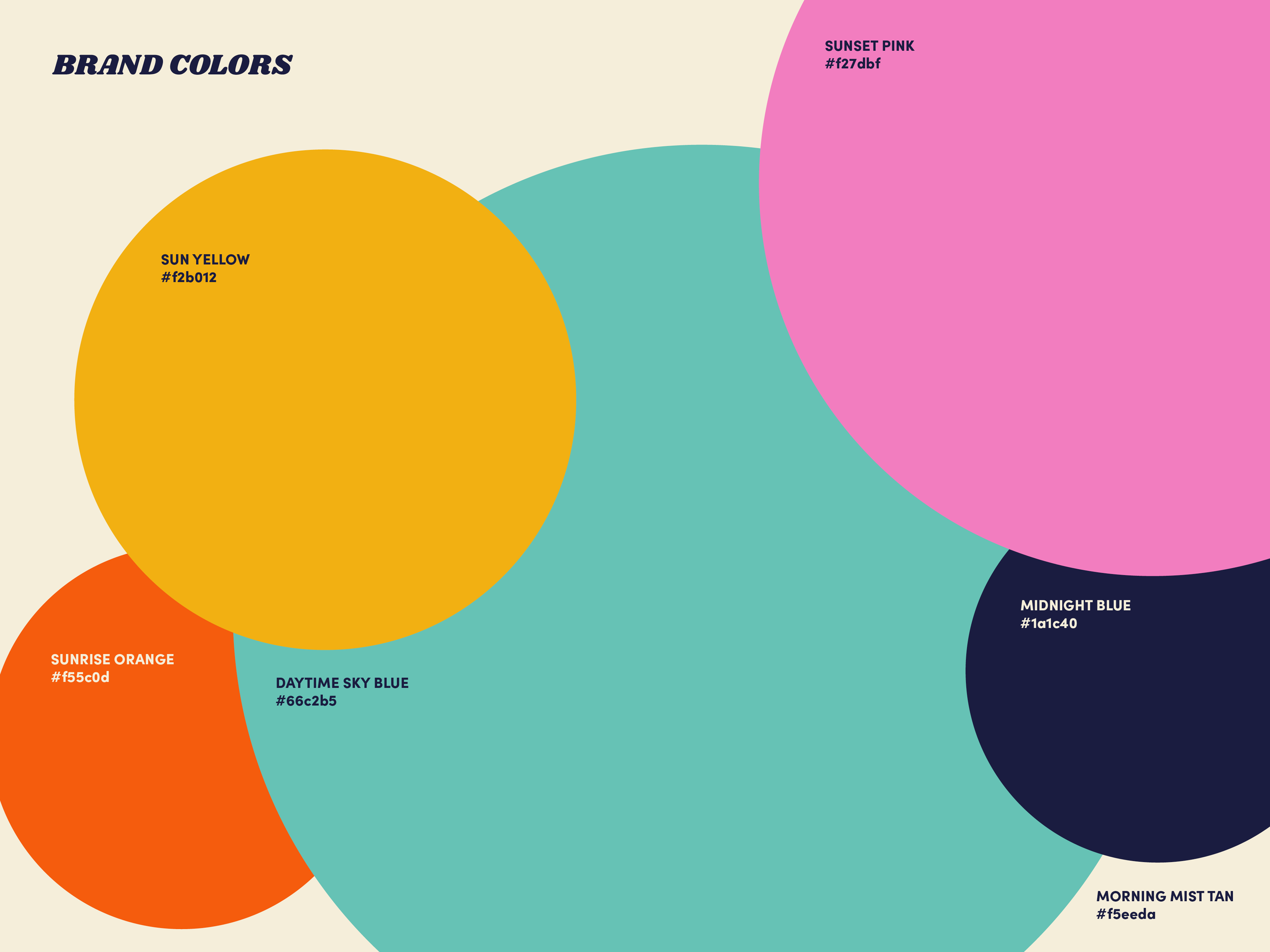 NTM_Portfolio_5Year10.png