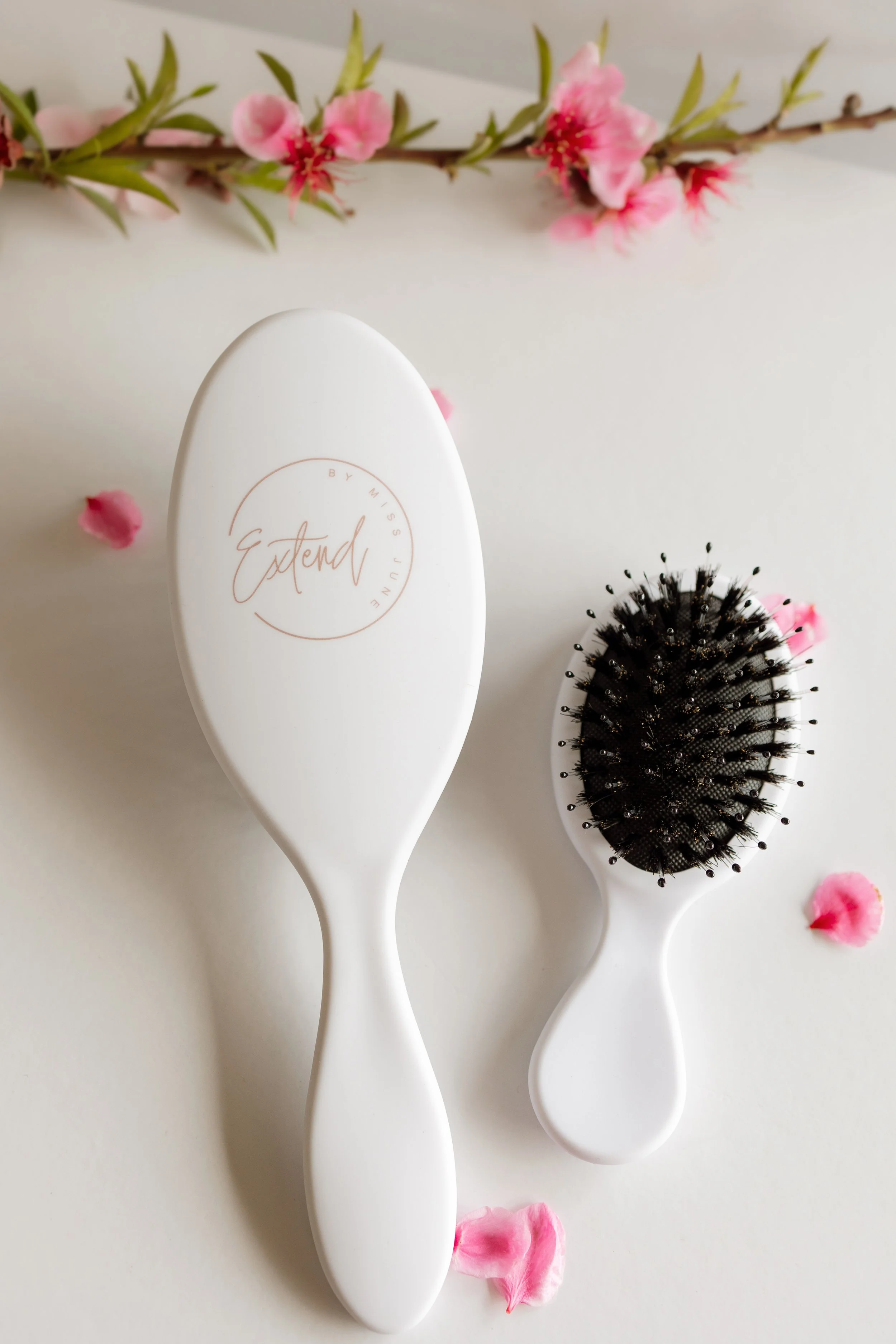 1H8A5952.jpg (Copy) (Copy)