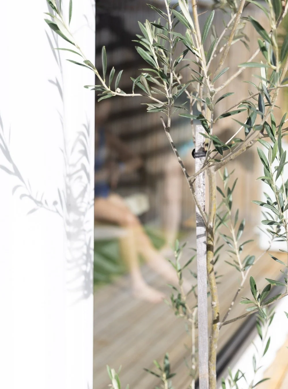 We couldn&rsquo;t be happier to have Emma from @zen_life_retreats and her beautiful group for a truly unique hens experience.

Combining yoga, connection, movement, and our hot/cold therapy, it is the perfect way to celebrate.

If you're planning a h