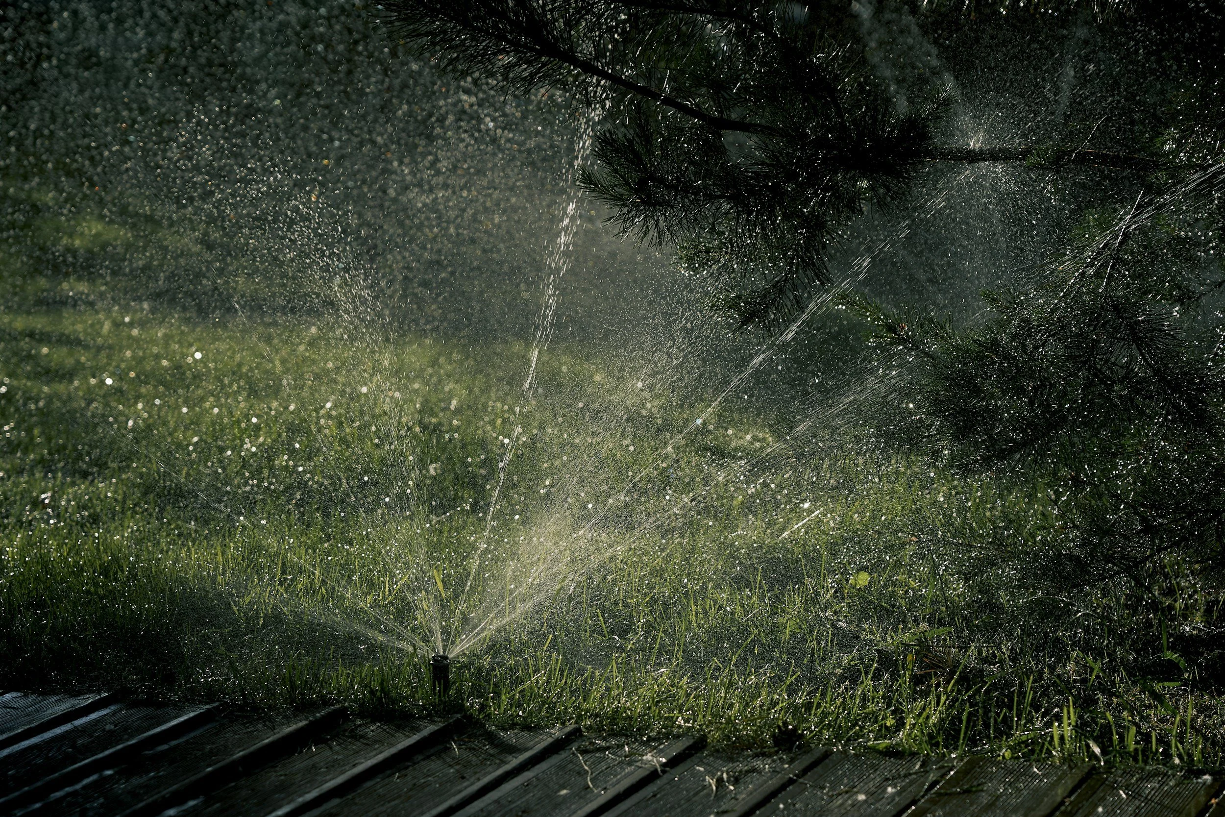 A sprinkler watering grass and plants with water droplets sparkling in sunlight, near a tree.