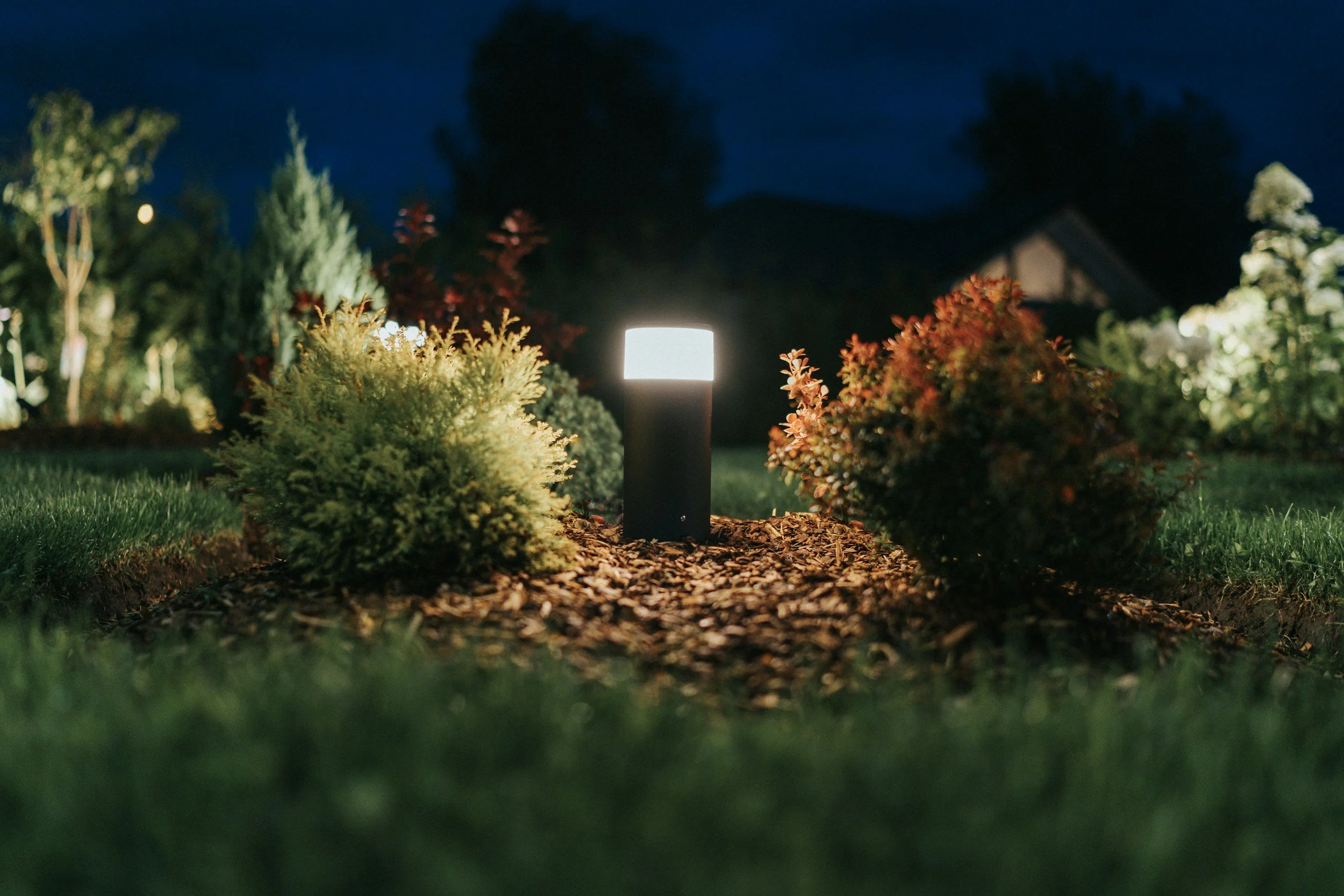 A garden scene at night featuring illuminated landscape lights highlighting bushes and small trees, with a house and dark sky in the background.