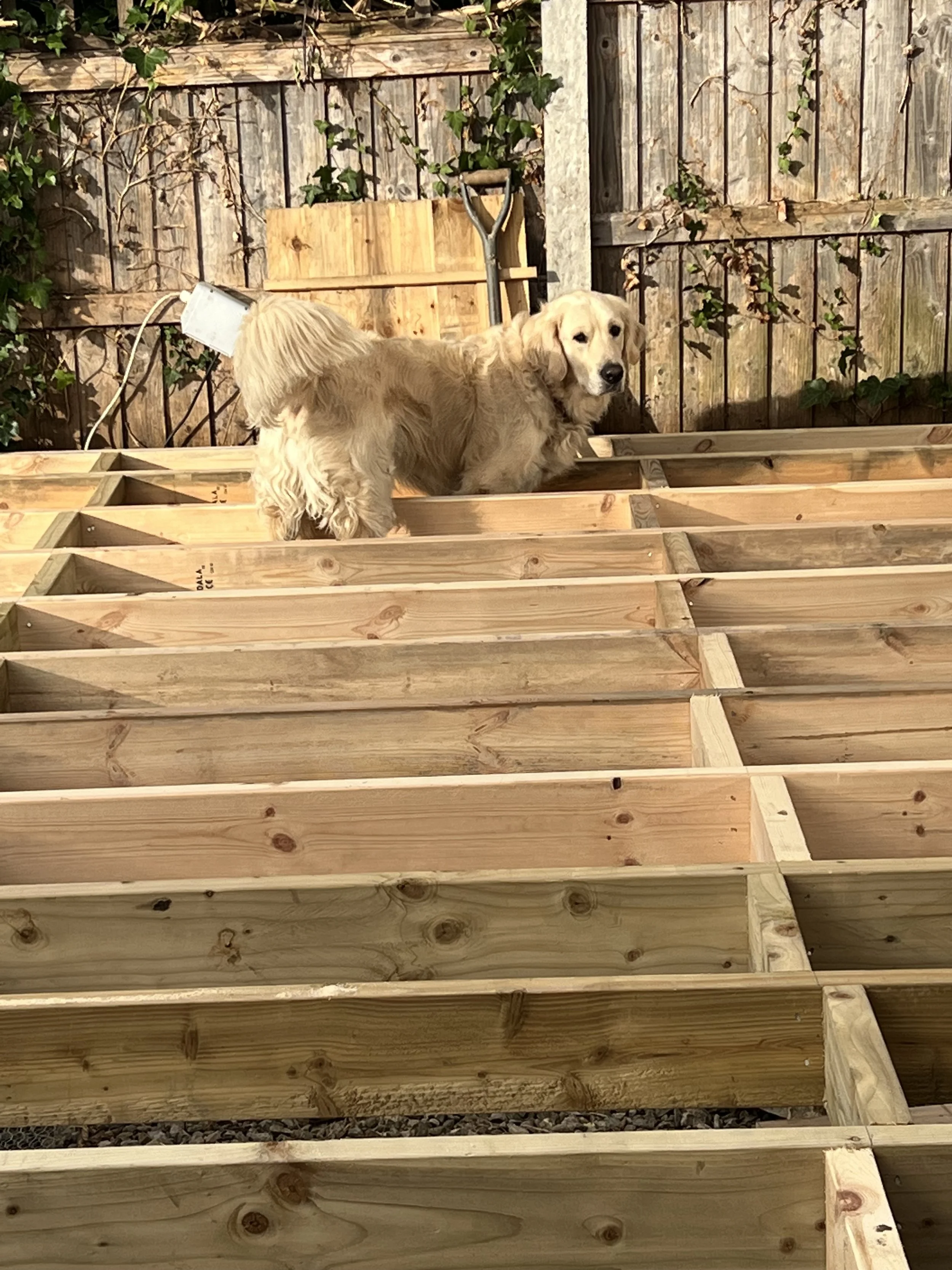 Stagbrook Decking Sevenoaks