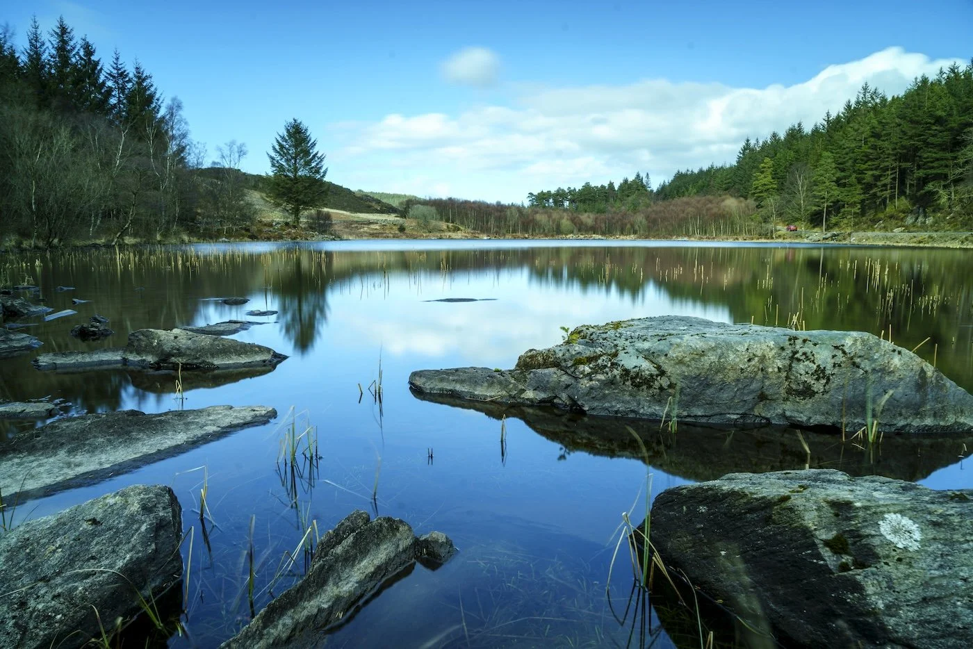 LLyn Bychan in summer