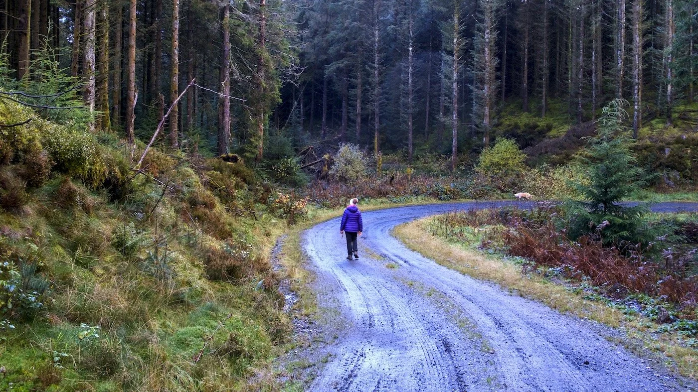 The quiet luxury of doing very little