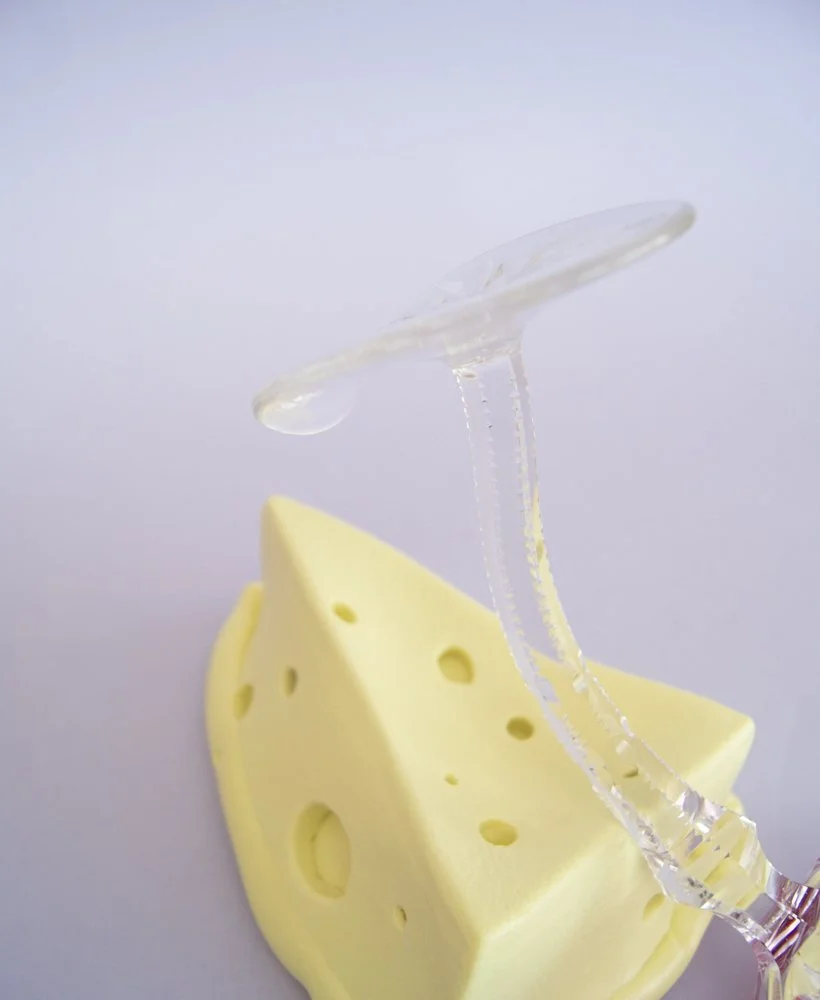 _DSC0650_web.JPG