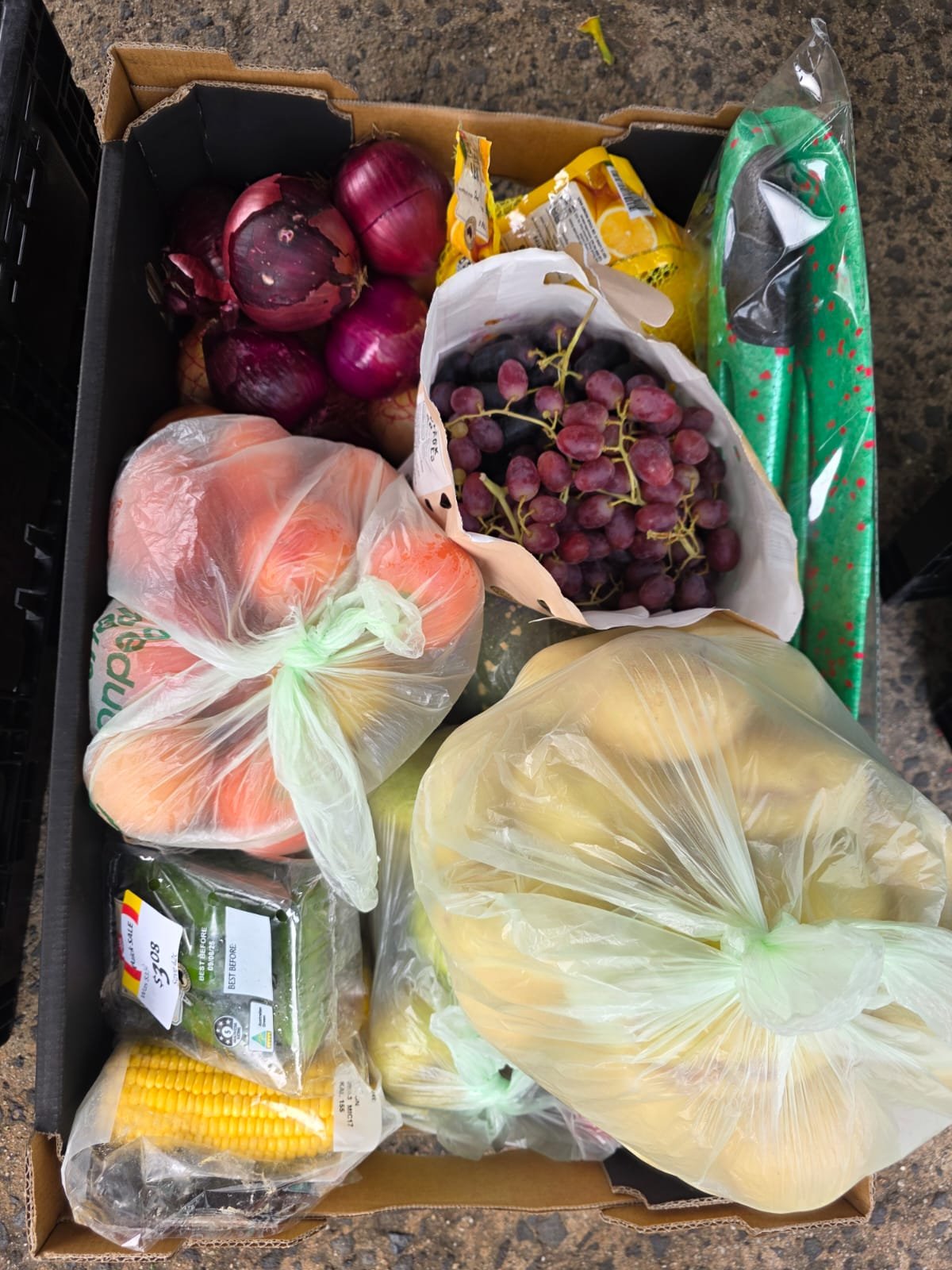 Food pack good to go!