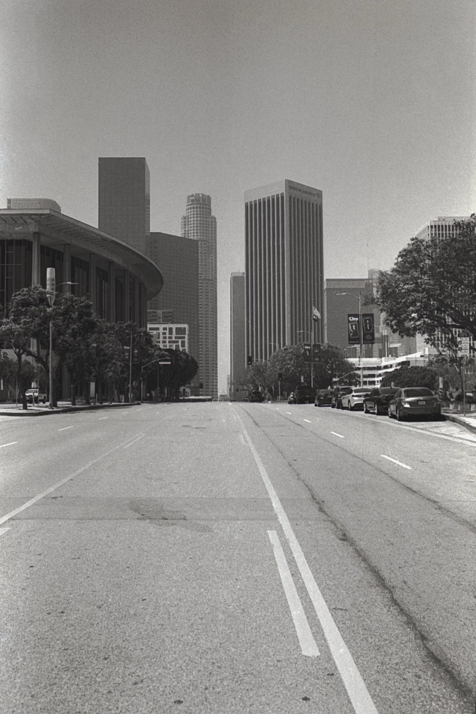 dtla.jpg