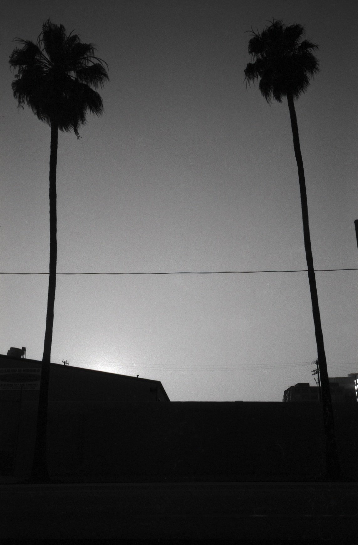 losangeles (112).jpg
