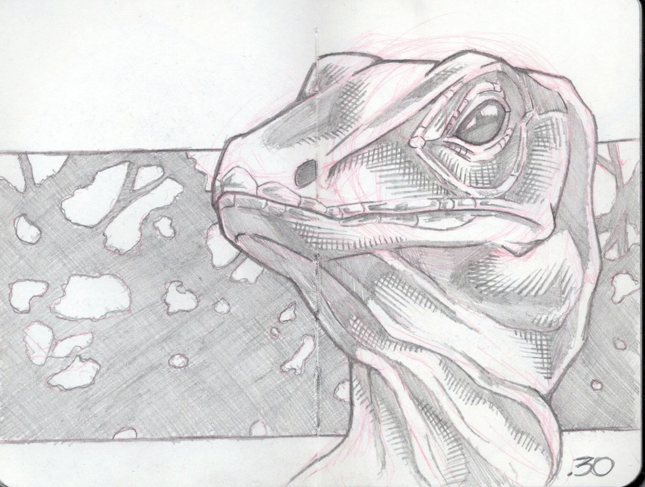 lizard sketch.jpg