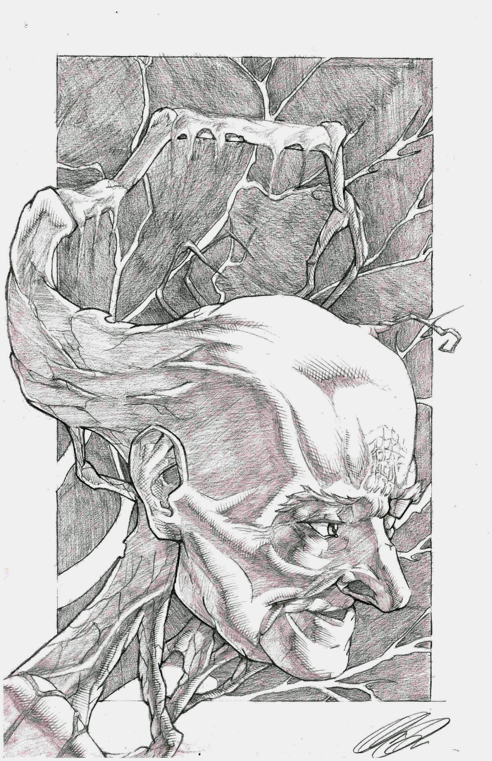 Old Man Tree V2 edit.jpg