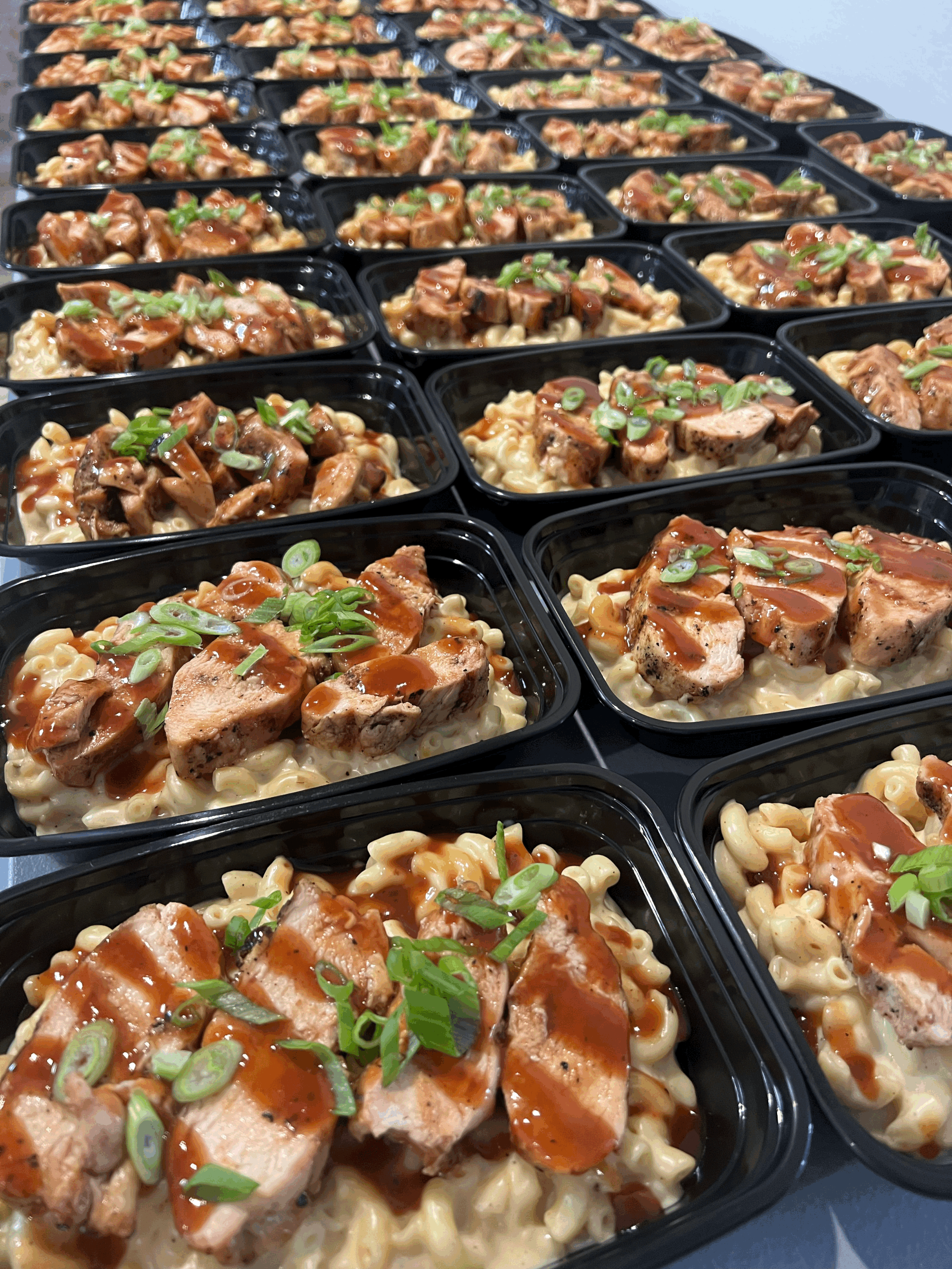 Row of meal prep containers filled with chicken fried rice topped with green onions.