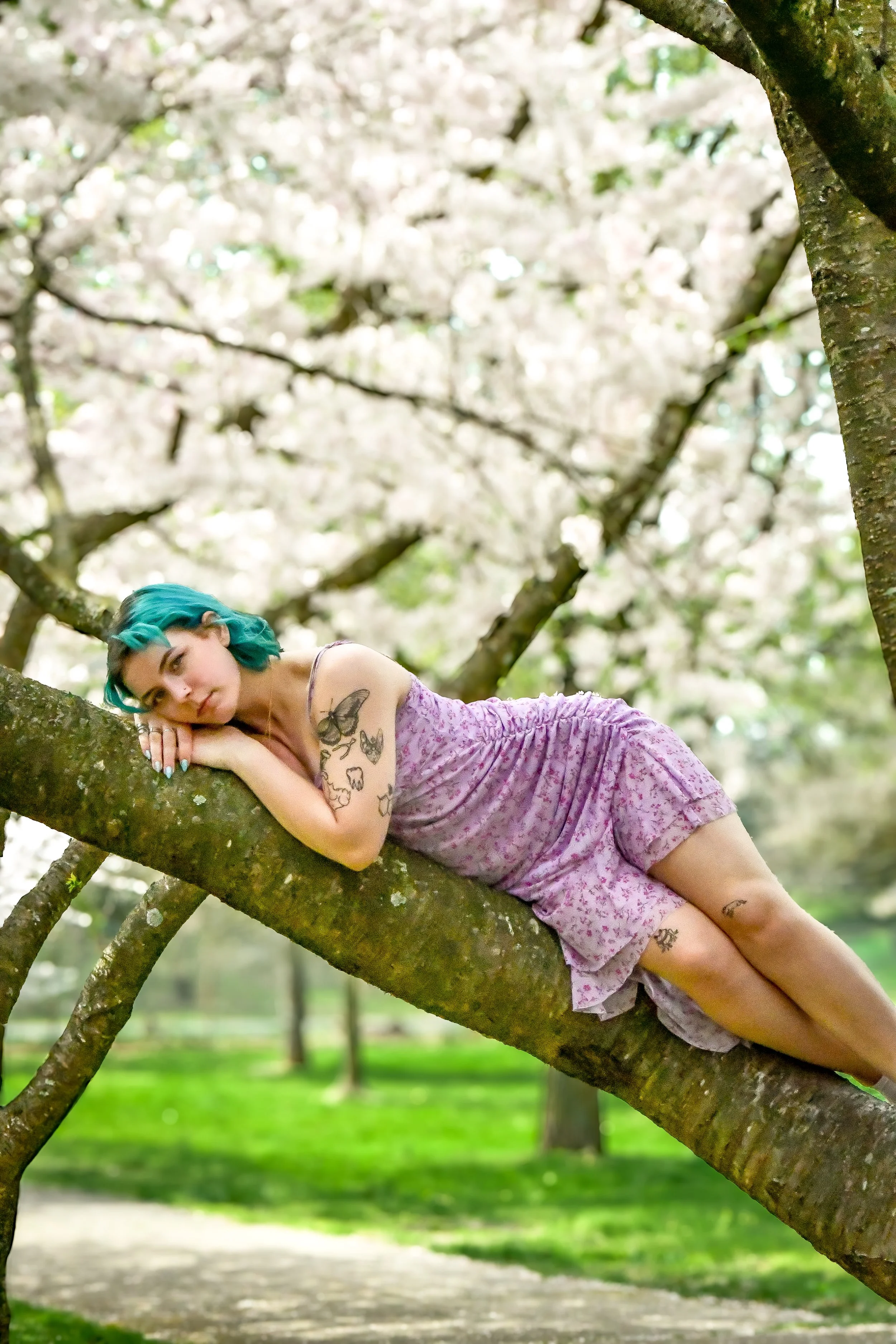 Relaxed in the most calming environment, between the subtle petals of a cherry blossom tree