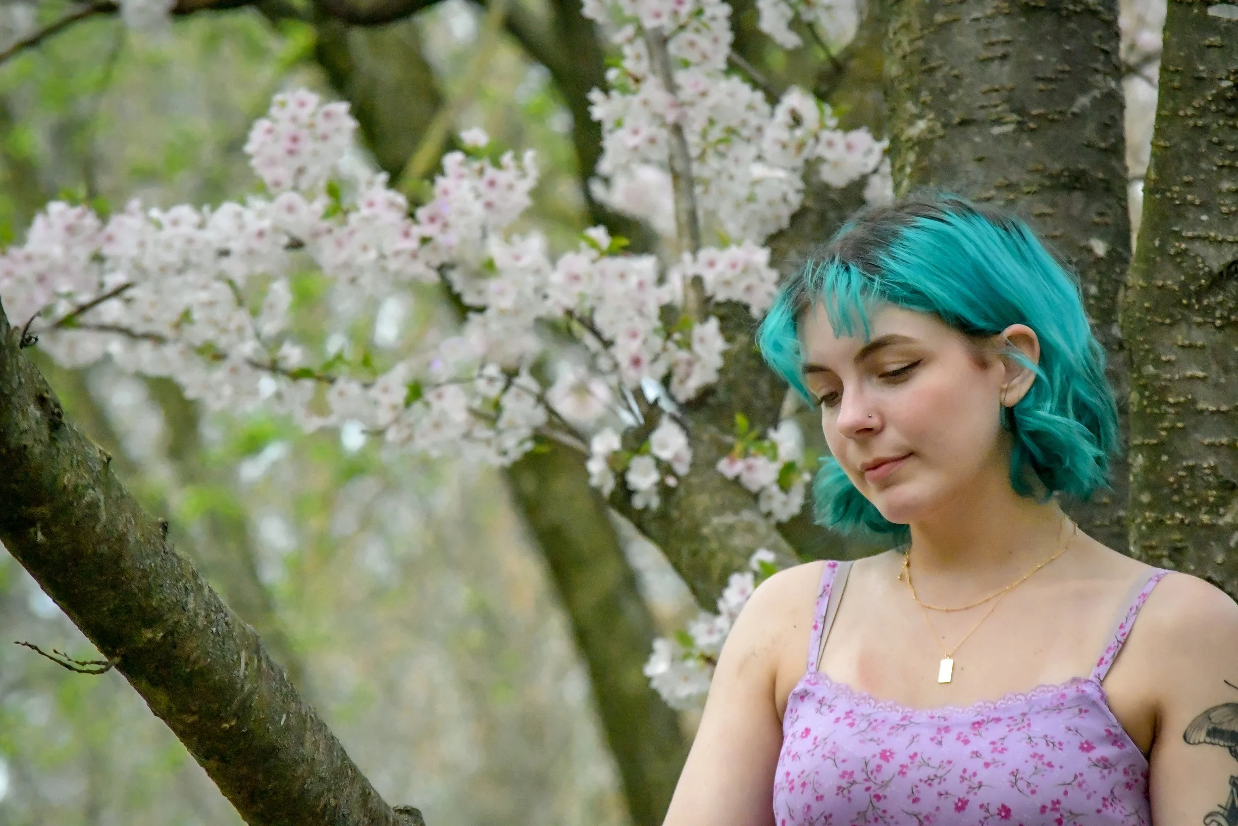 Headshot photographer with a cherry blossom background makes for dainty and beautiful photos