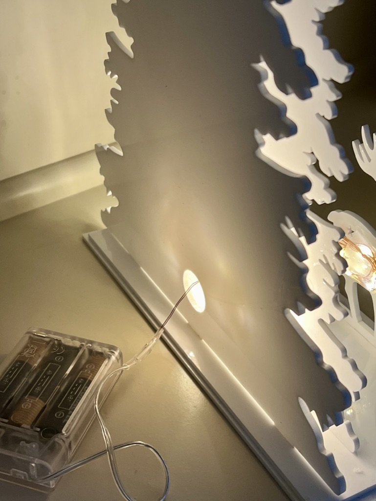 080D96C9-8DDF-4285-BA02-021FABCECE62_1_105_c.jpeg
