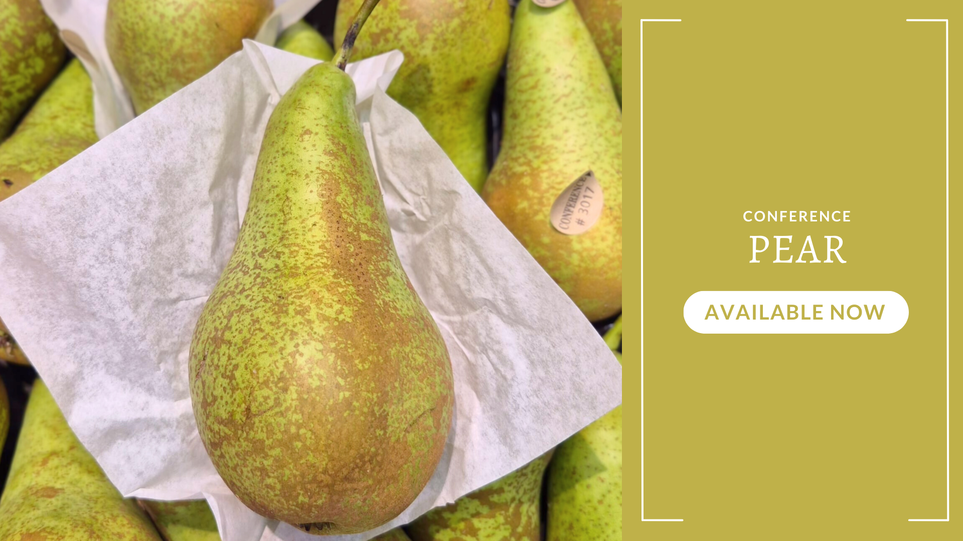The Conference Pear π