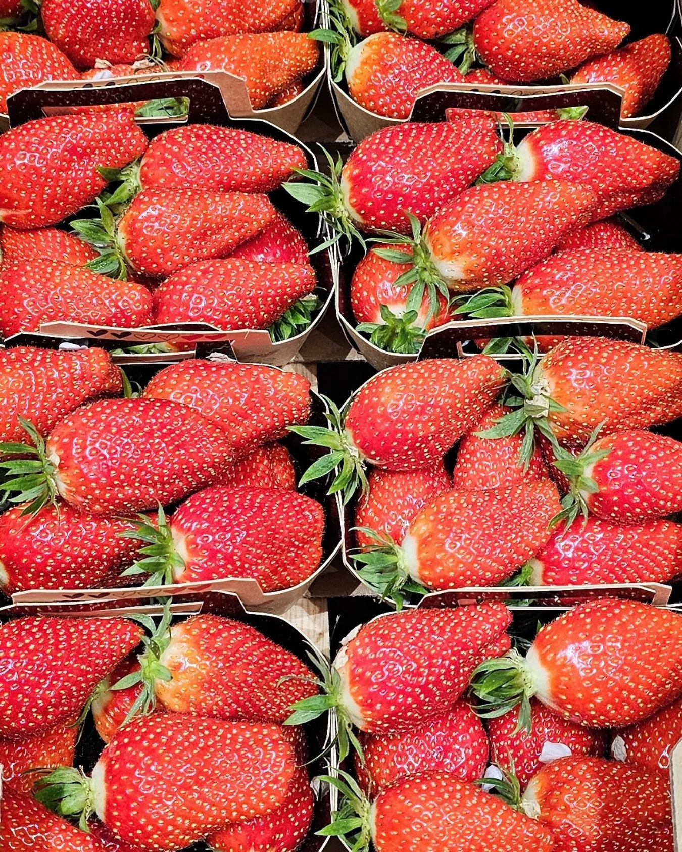 Gariguette Strawberry 🇫🇷
We are right at the point where the first of the large producers sends this famous strawberry to market, but for the moment, we have the Marmandise one, which is beautiful.
They have just moved to a new area of production, 
